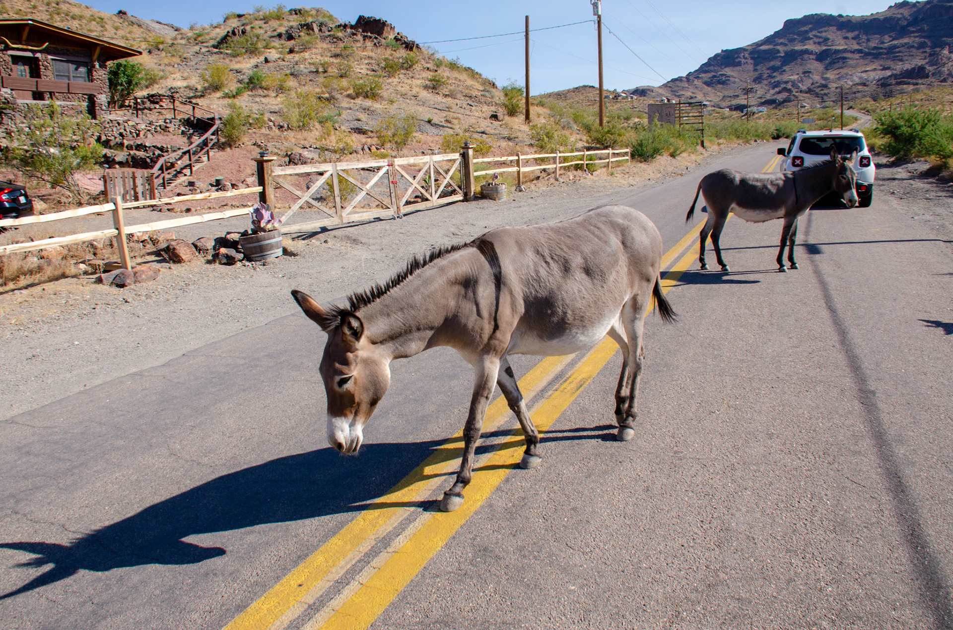 Route 66, Oatman Arizona