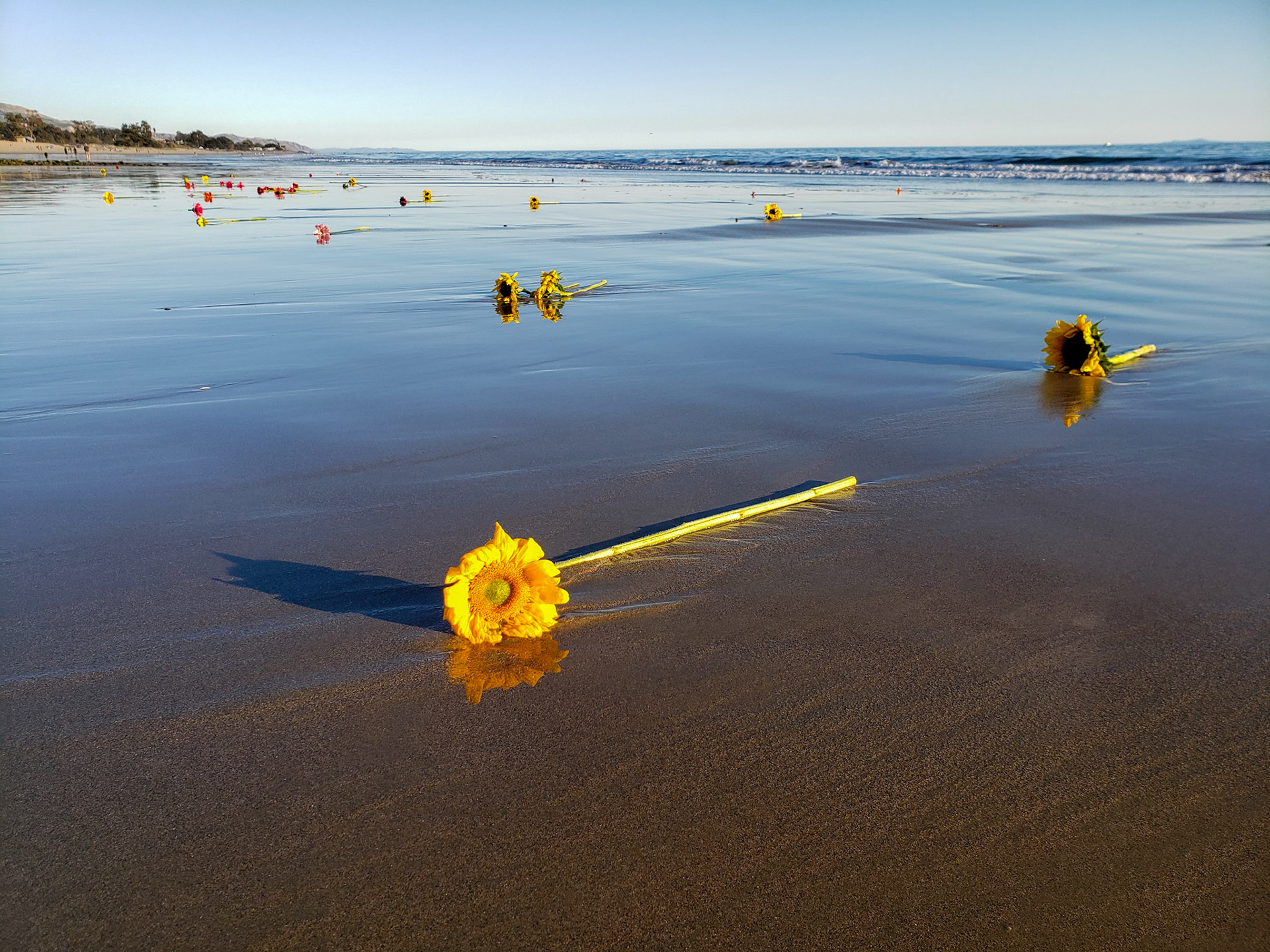 Carpinteria California in Memory of Claire Morris