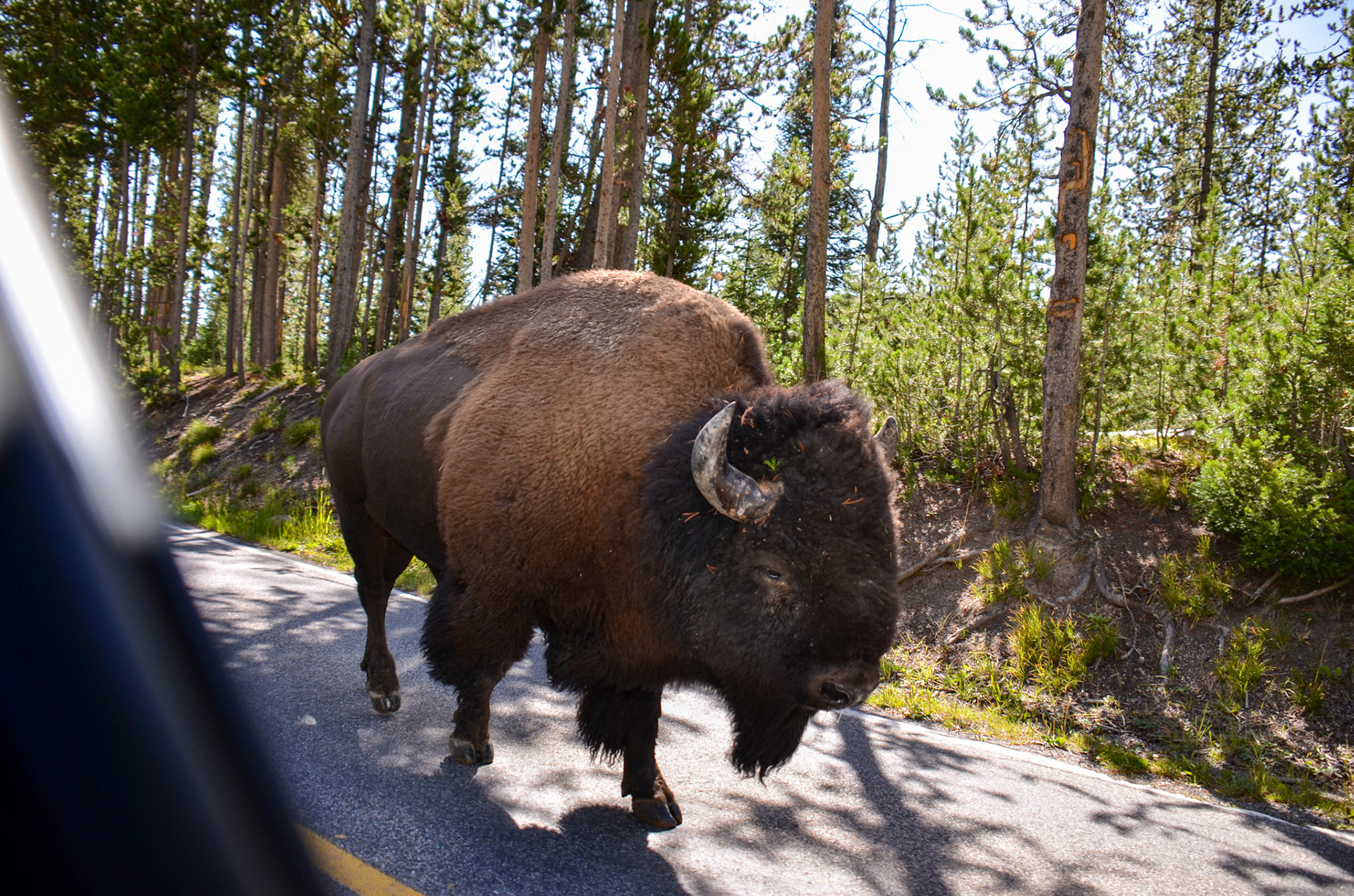 Yellowstone National Park