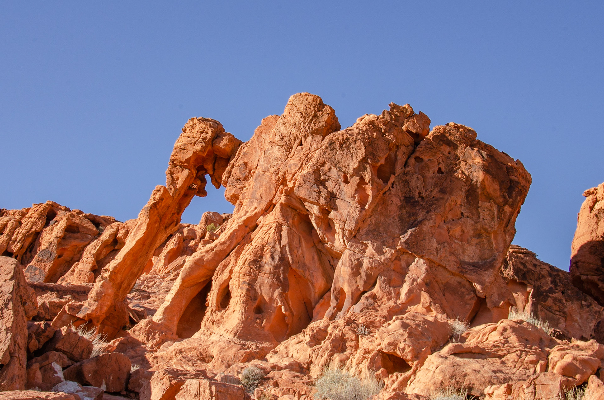 Elephant Rock, Valley of Fire State Park