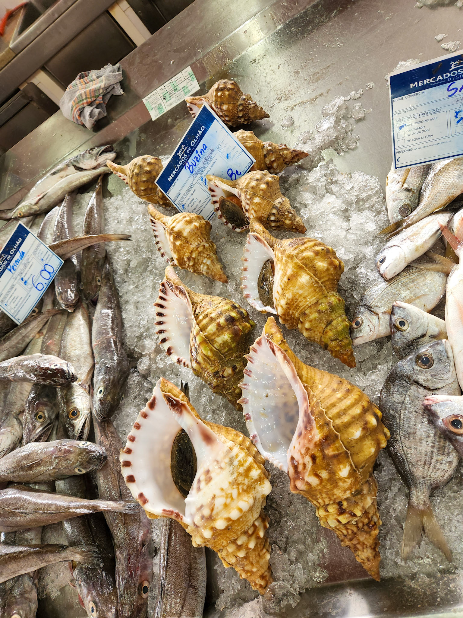 Olhao Saturday Market, Olhao Portugal