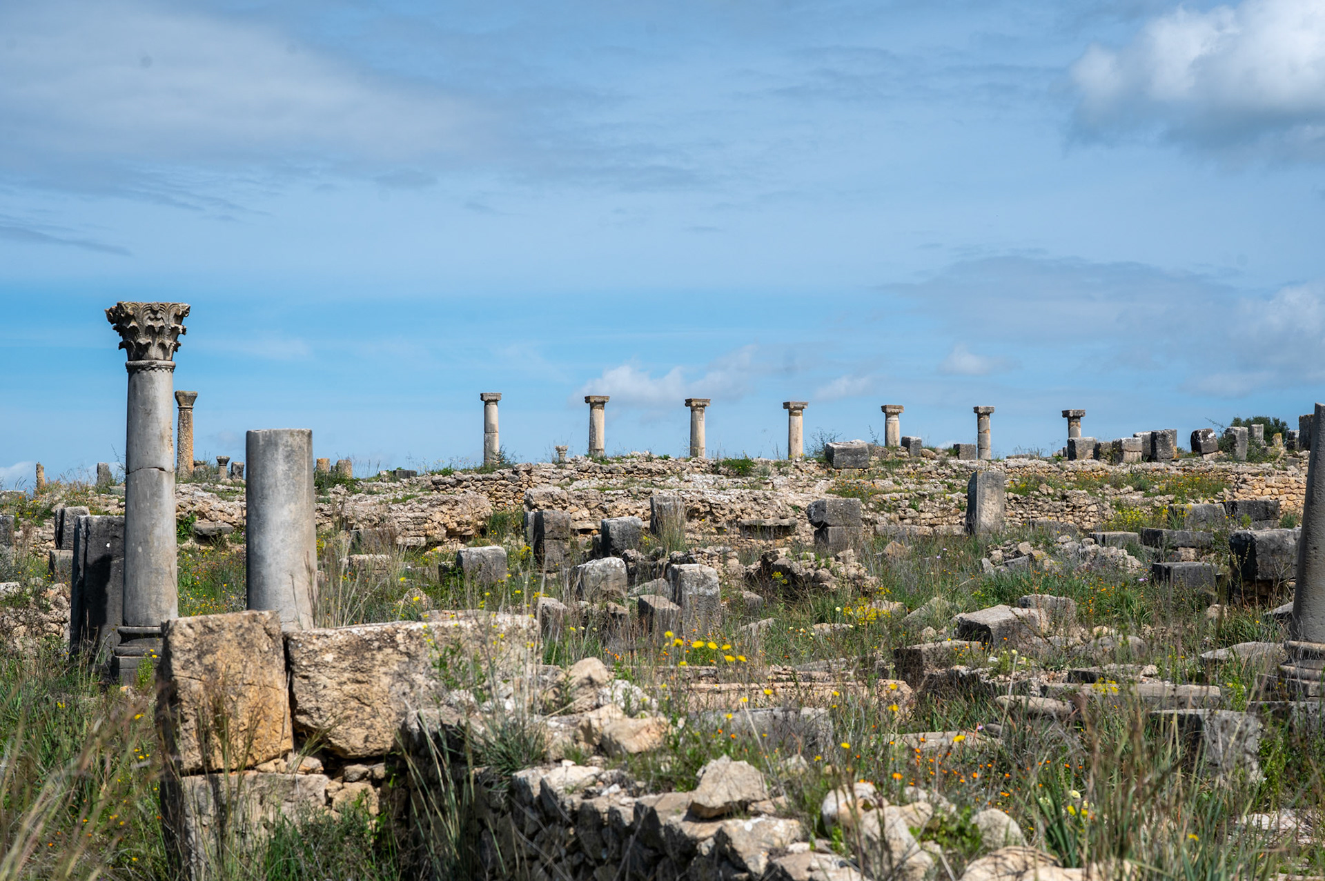 Volubilis - 1st century Roman Ruins, Meknes Morocco