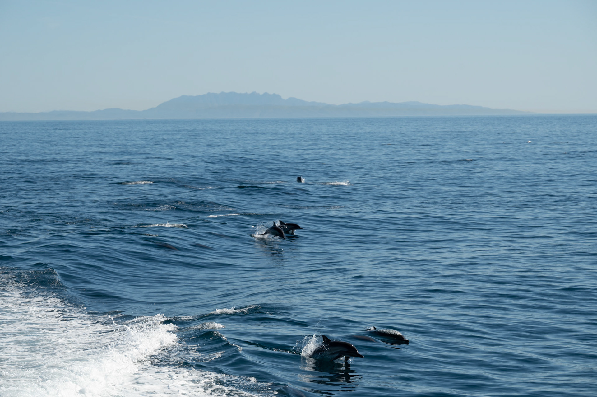 Santa Barbara Channel