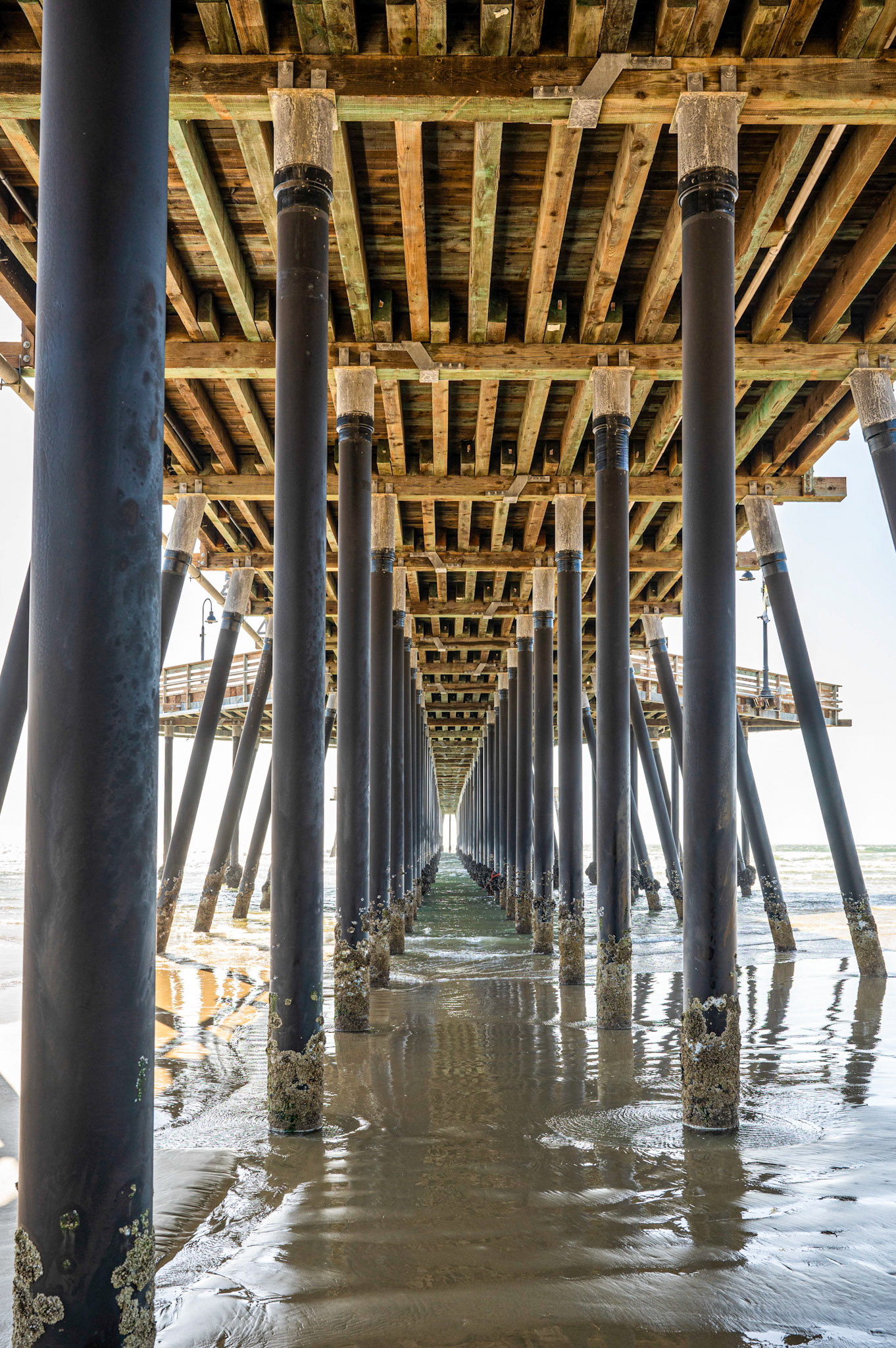 Under the Pismo Beach Pier, Pismo Beach, California