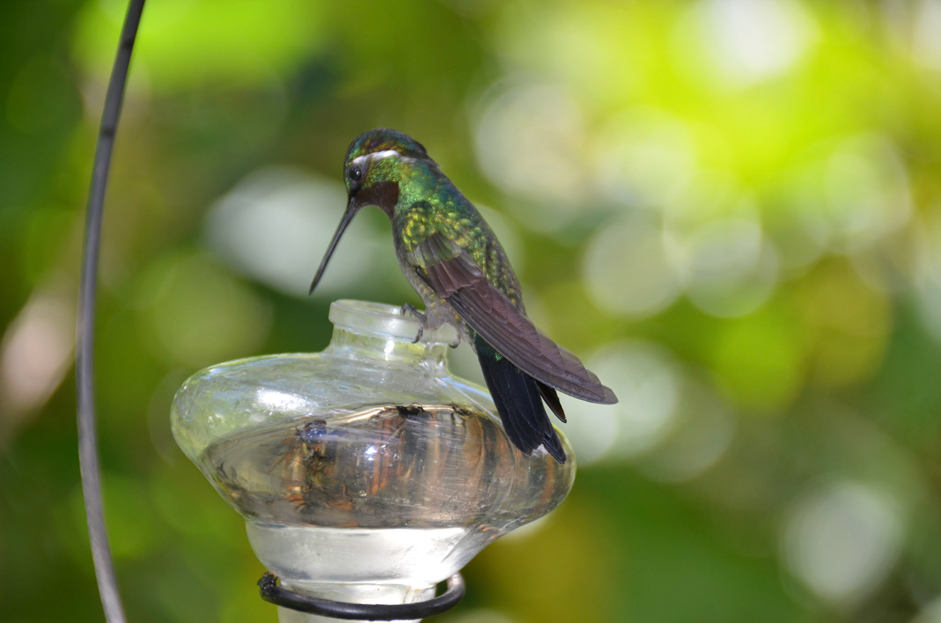 Costa Rica