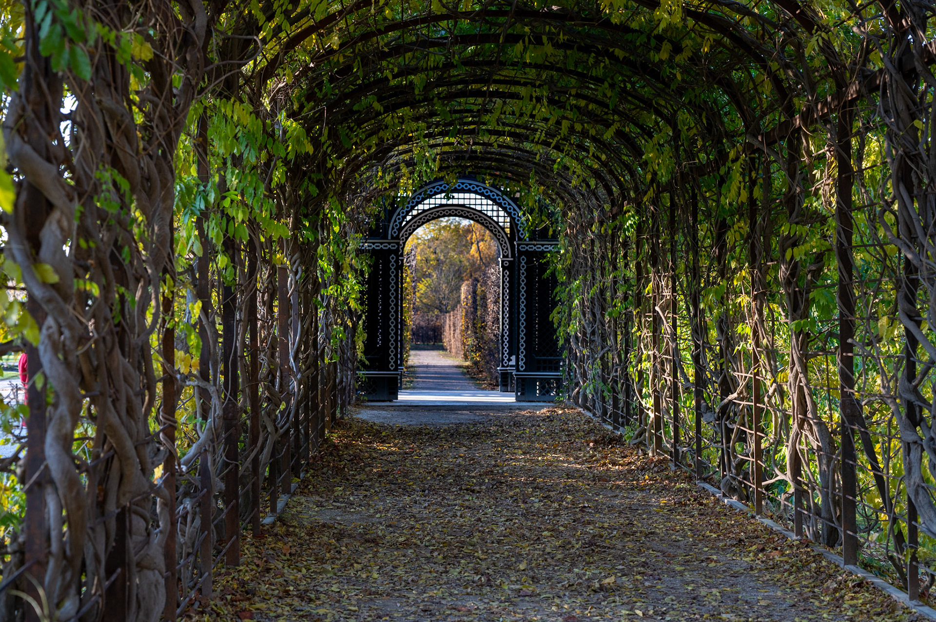 Schonbrunn Palace, Vienna