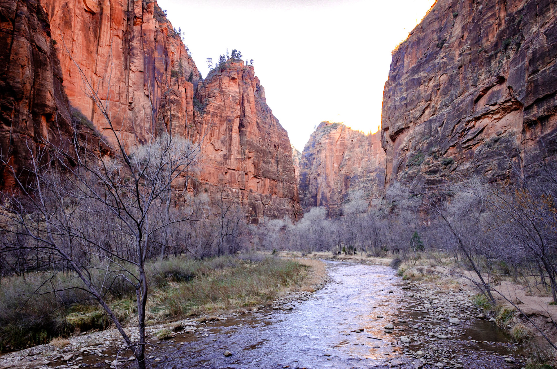 The Narrows, Zion National Park