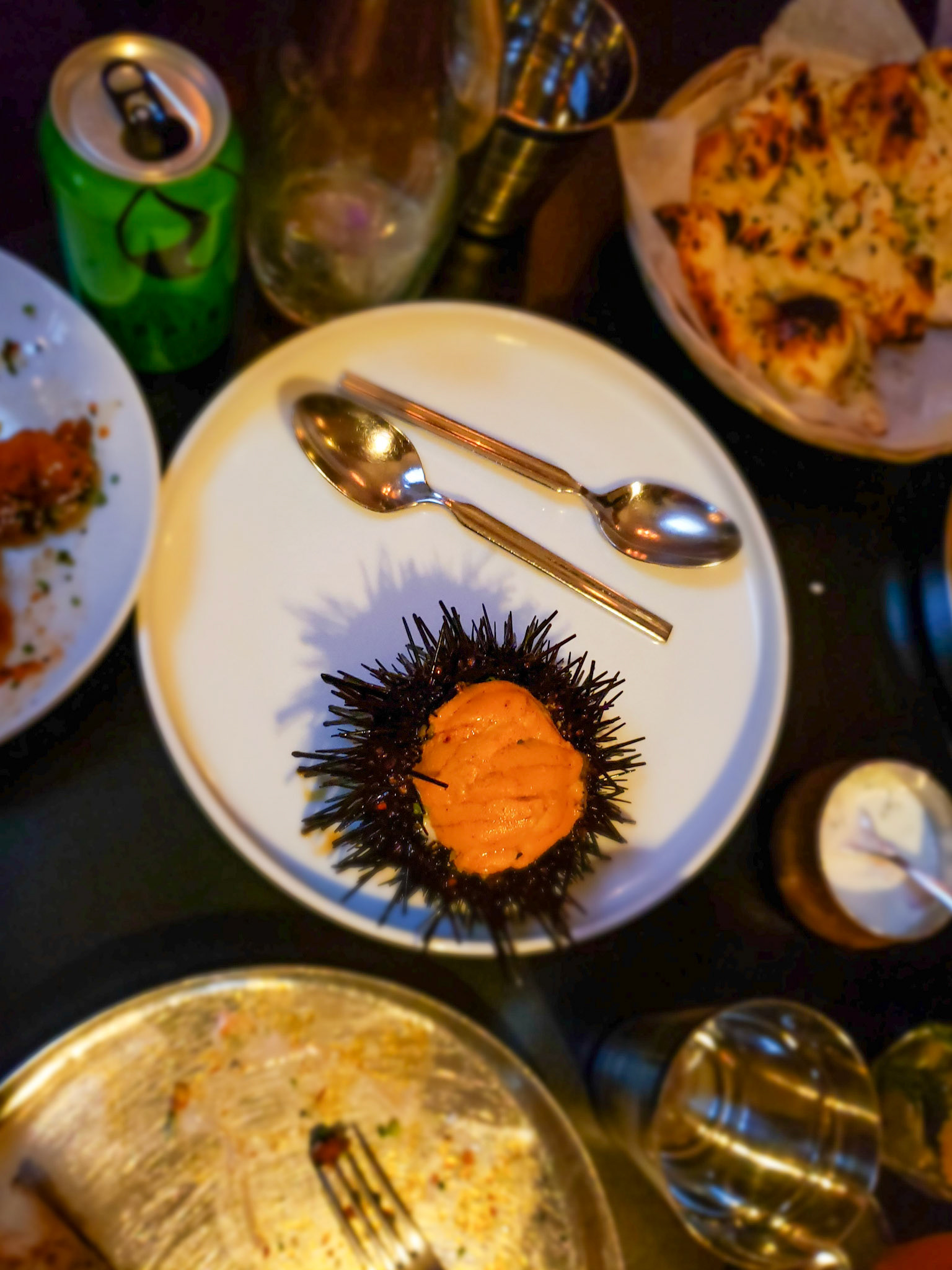 Uni @ Bibi Ji Santa Barbara California
