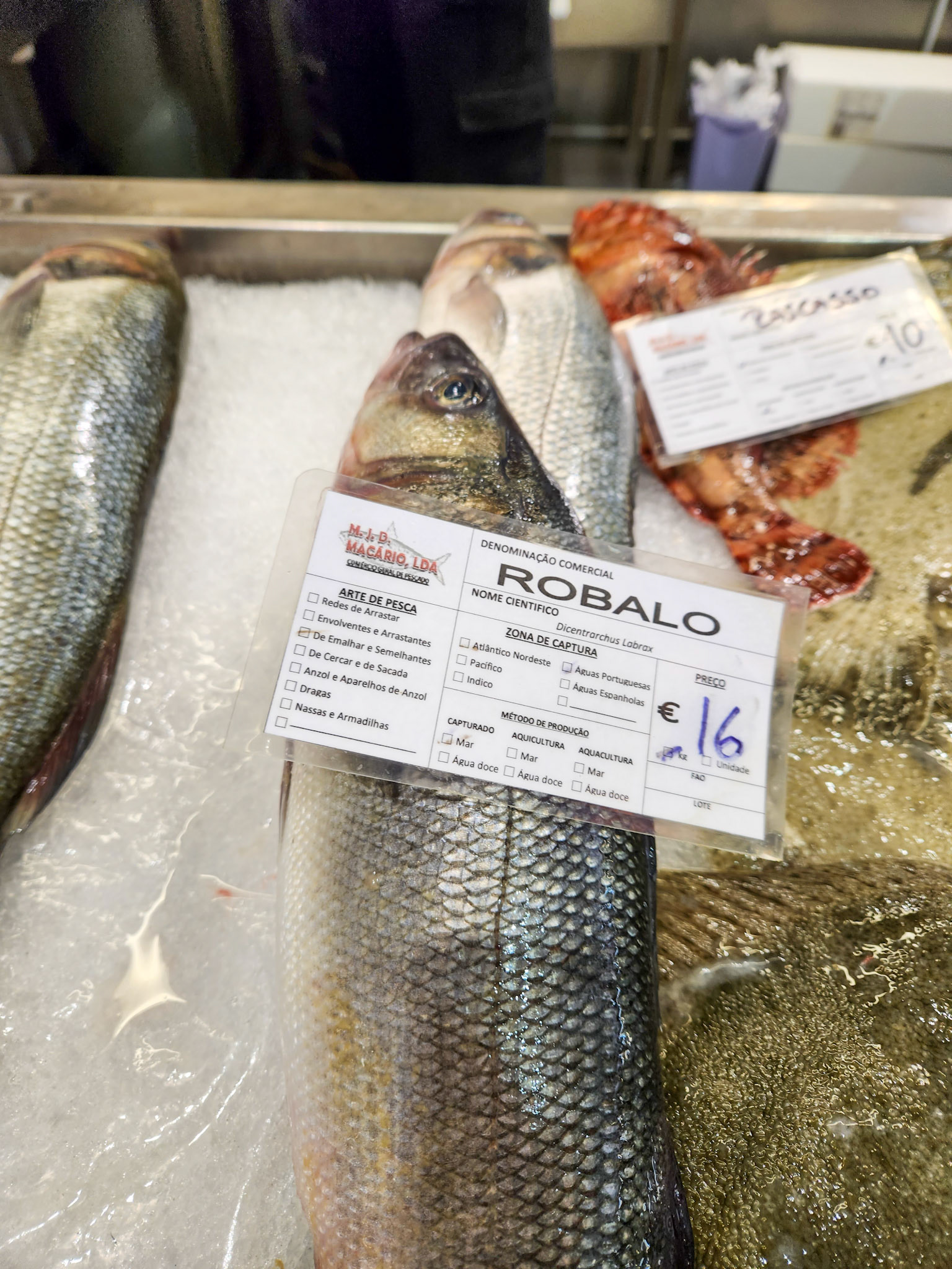 Portimao Mercado Central