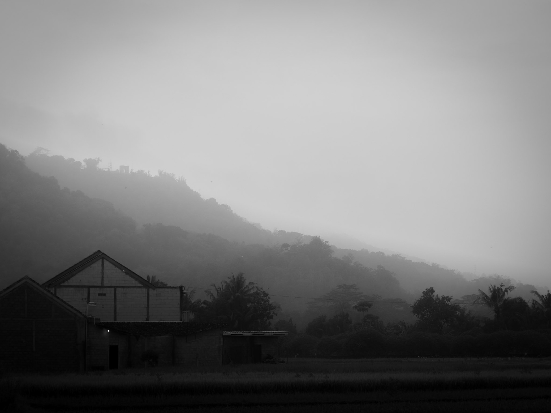 Lembutnya Kabut yang Menenangkan