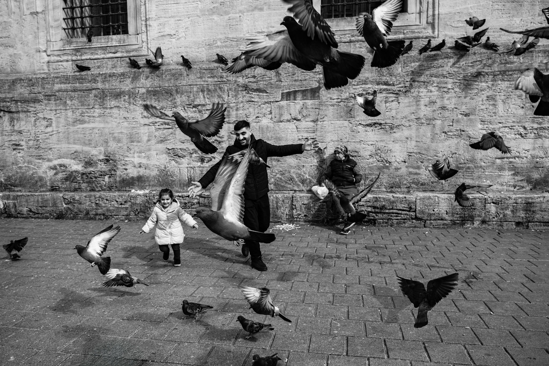 Enjoying the Pigeons