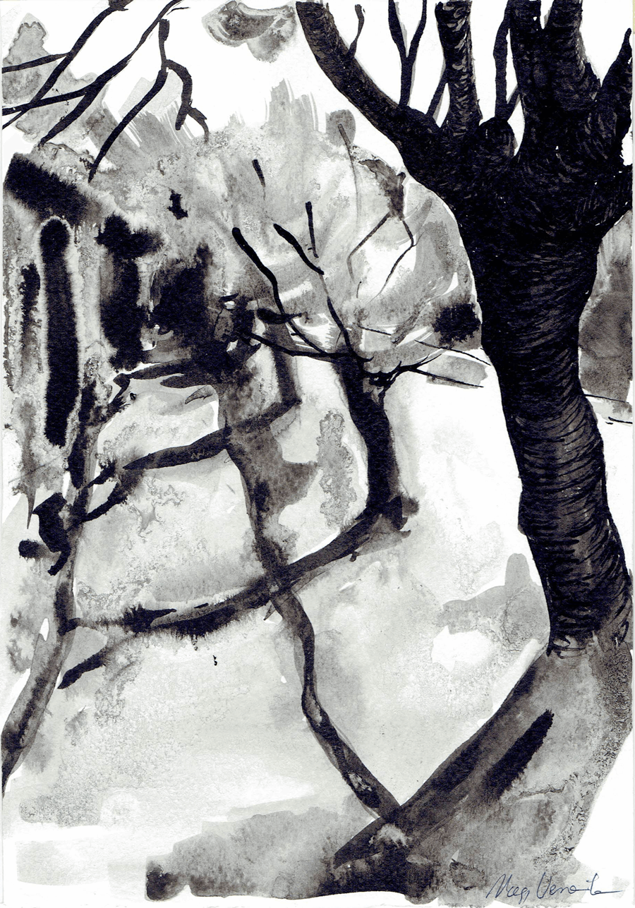 Trees 2/ Fák 2