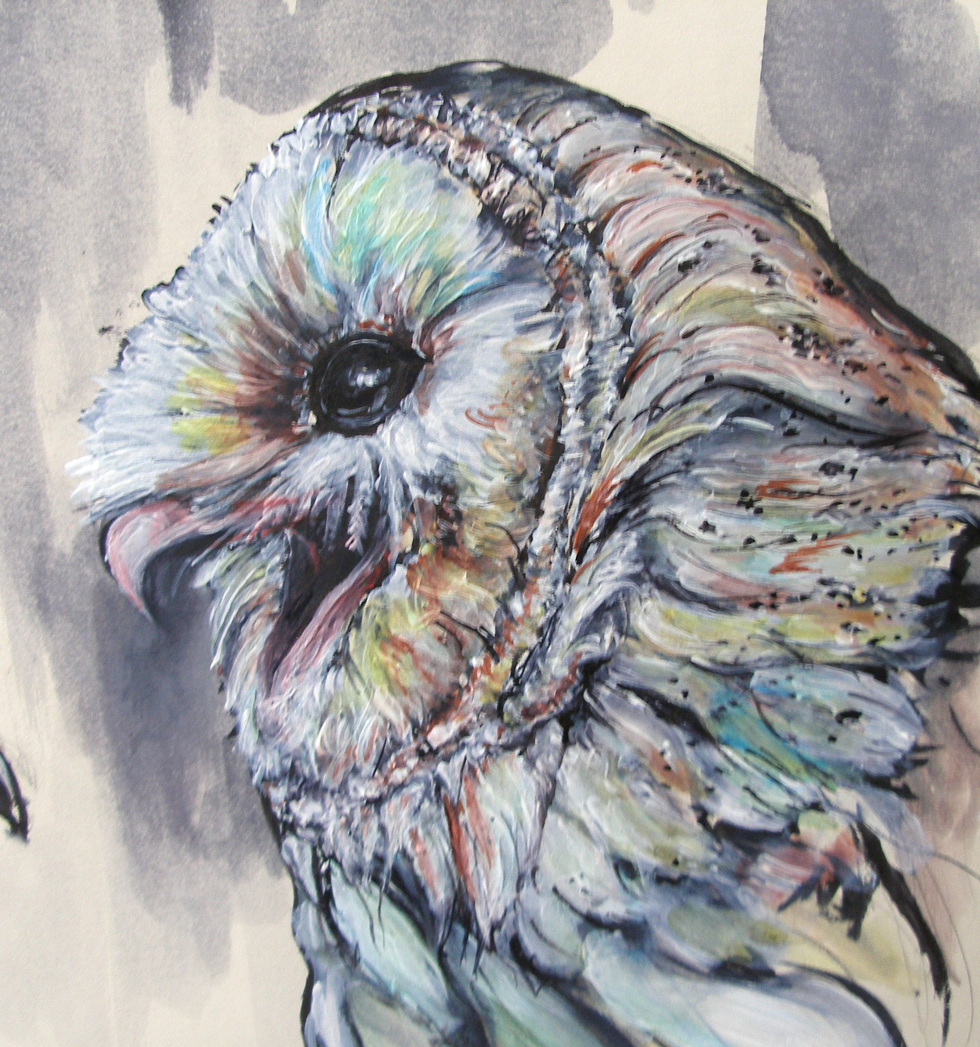 Barn owl: acrylic & watercolour