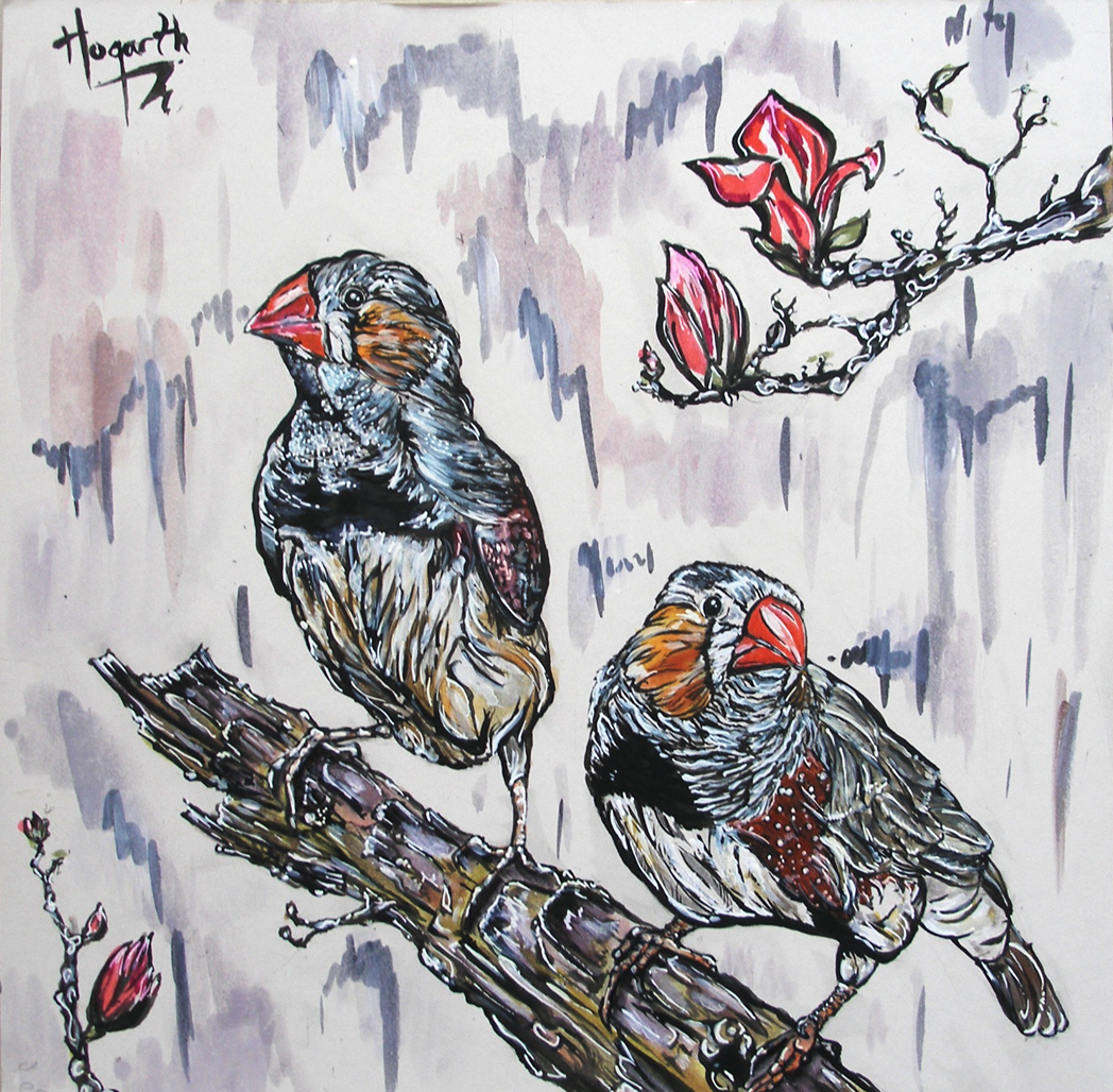 "Zebra Finches": acrylic & watercolour on paper