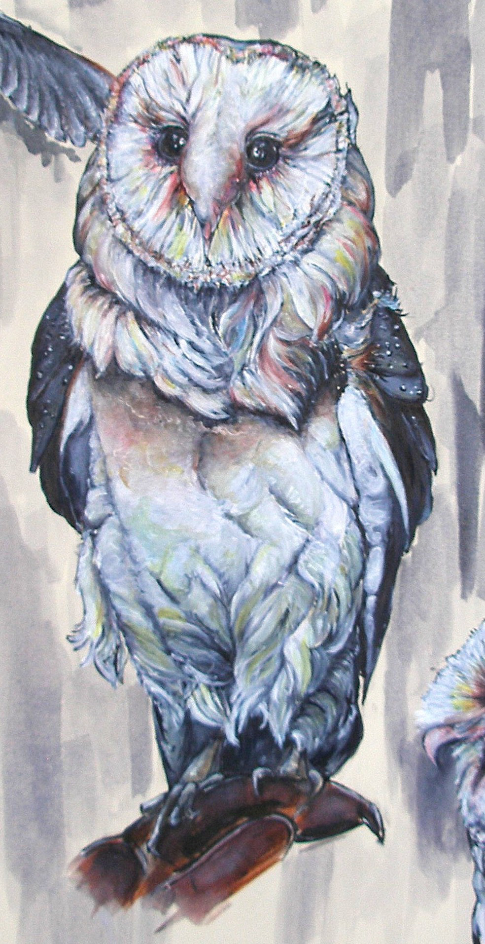 Barn owl: acrylic & watercolour