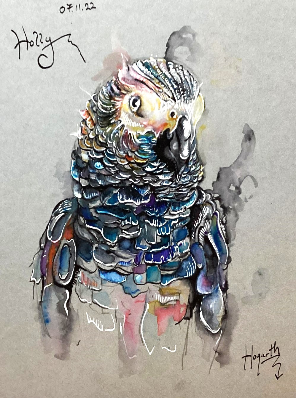Parakeet: ink & watercolour on board