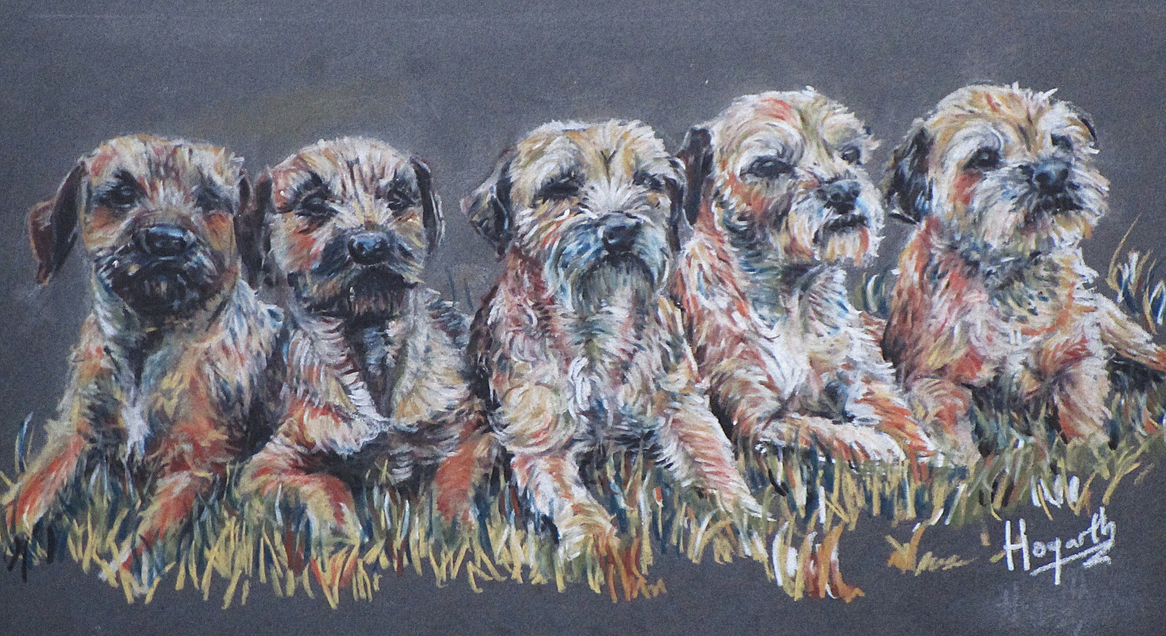 Pet portrait: pencil on board