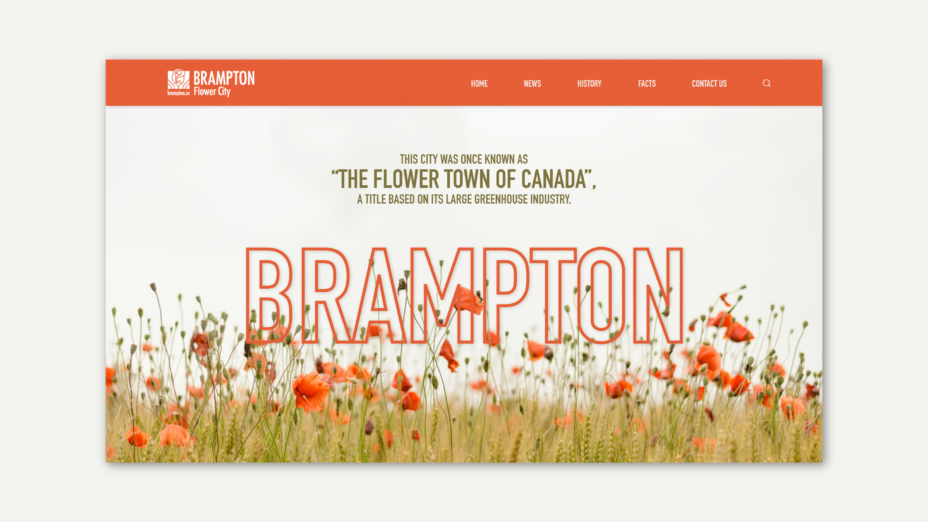 Designed in Adobe XD