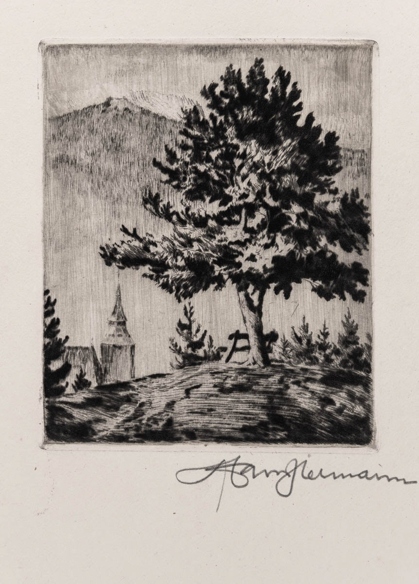 Brașov, Pin pe deal (1930) Gravură cu acul 22x12.05 cm