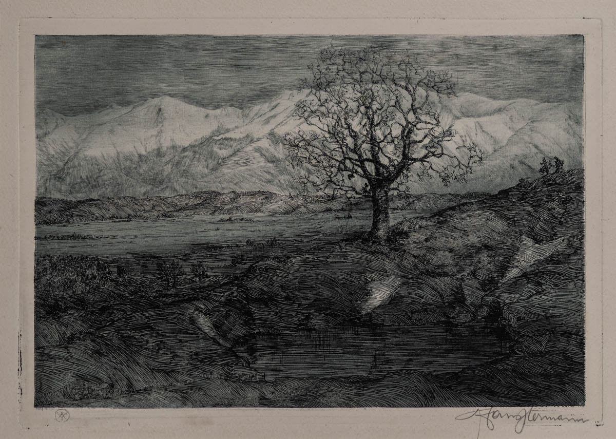Munții Făgărașului (1922) Acvaforte și Gravură cu acul 29x20.05 cm