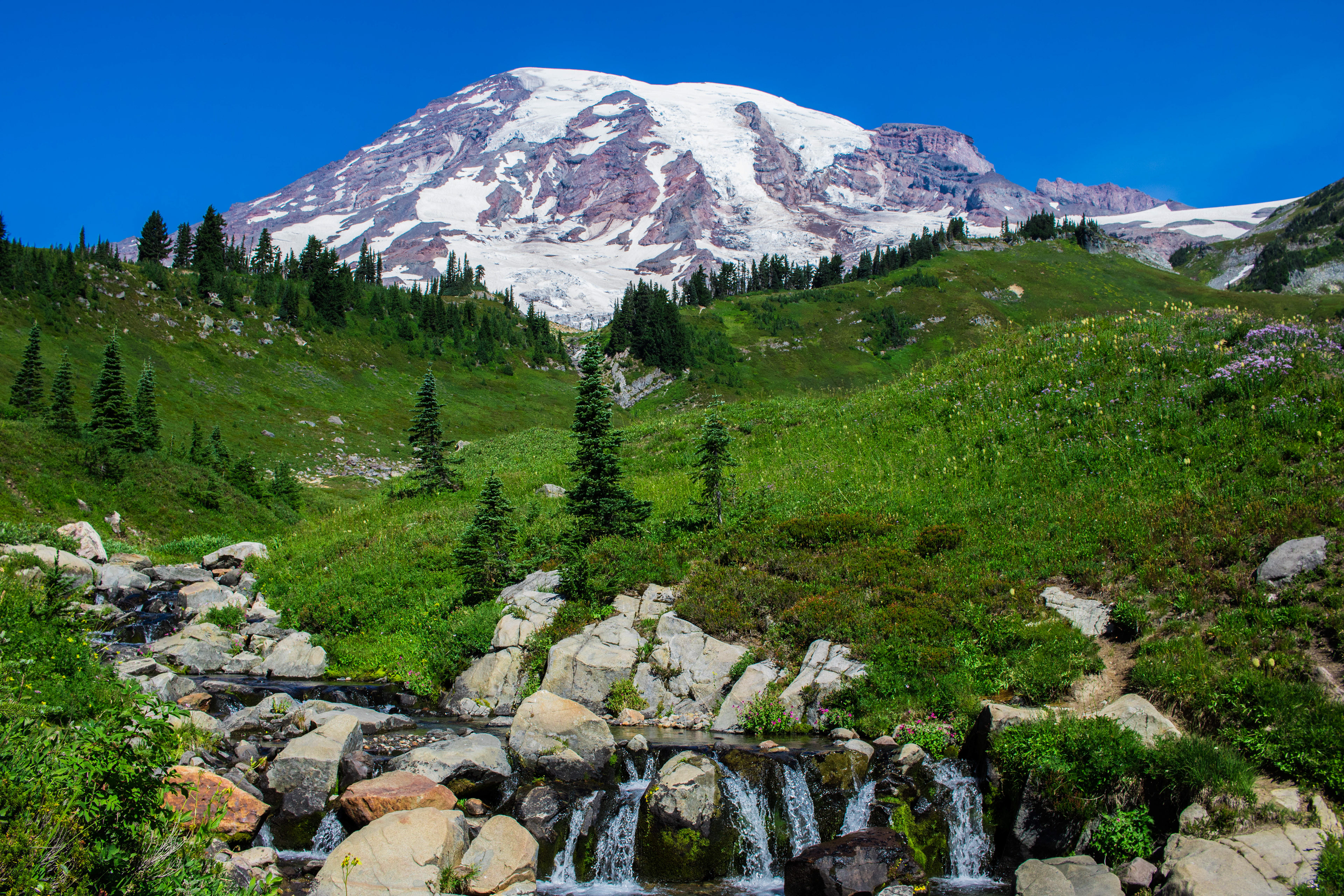 Mount Rainier