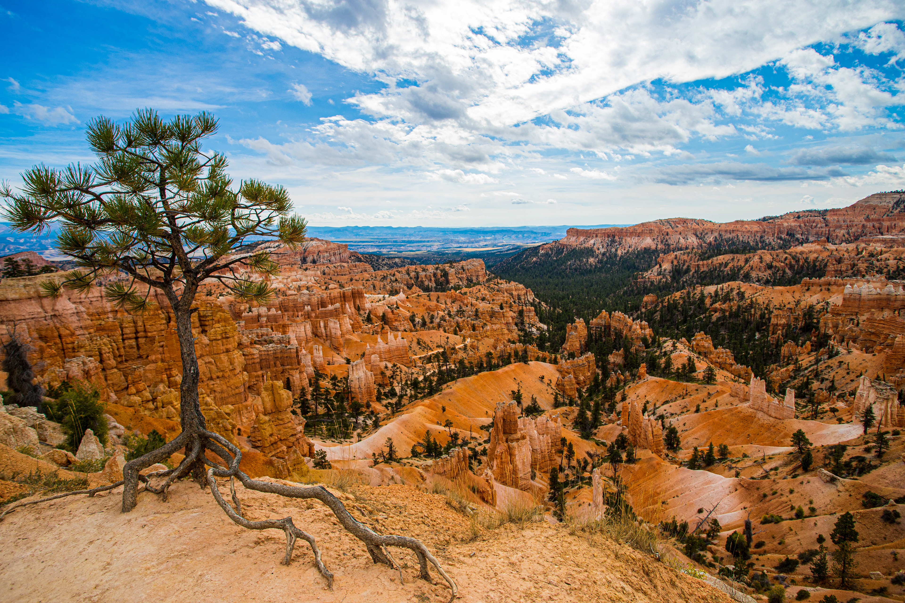 Bryce Canyon