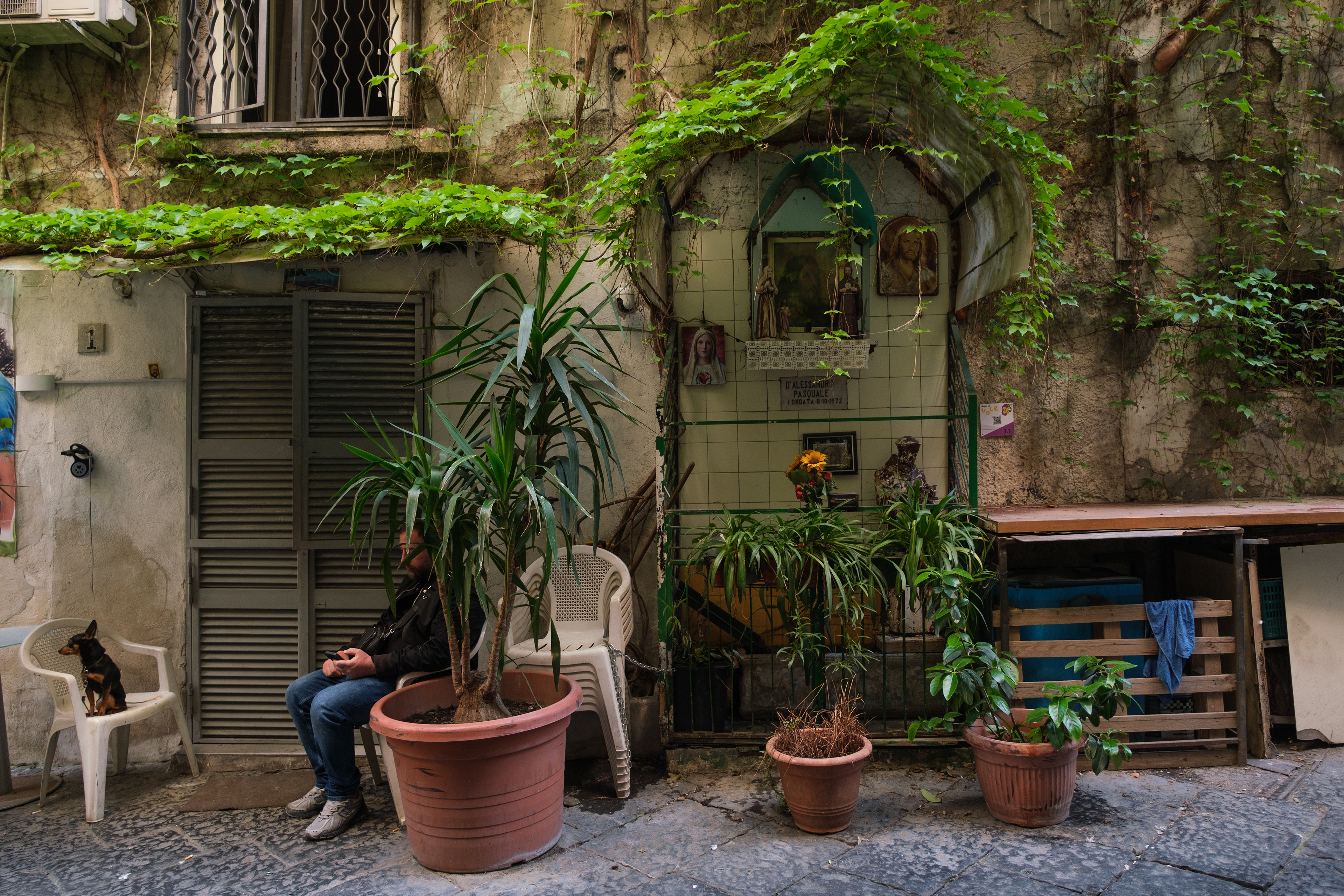 Naples (Italy): A man and his dog are seated next to an “Edicola Voltiva” or “Altarino” , a roadside altar built in memory of the deceased. These traditional street shrines seamlessly merge sacred Catholic iconography with framed photographs and personal mementoes of the departed.