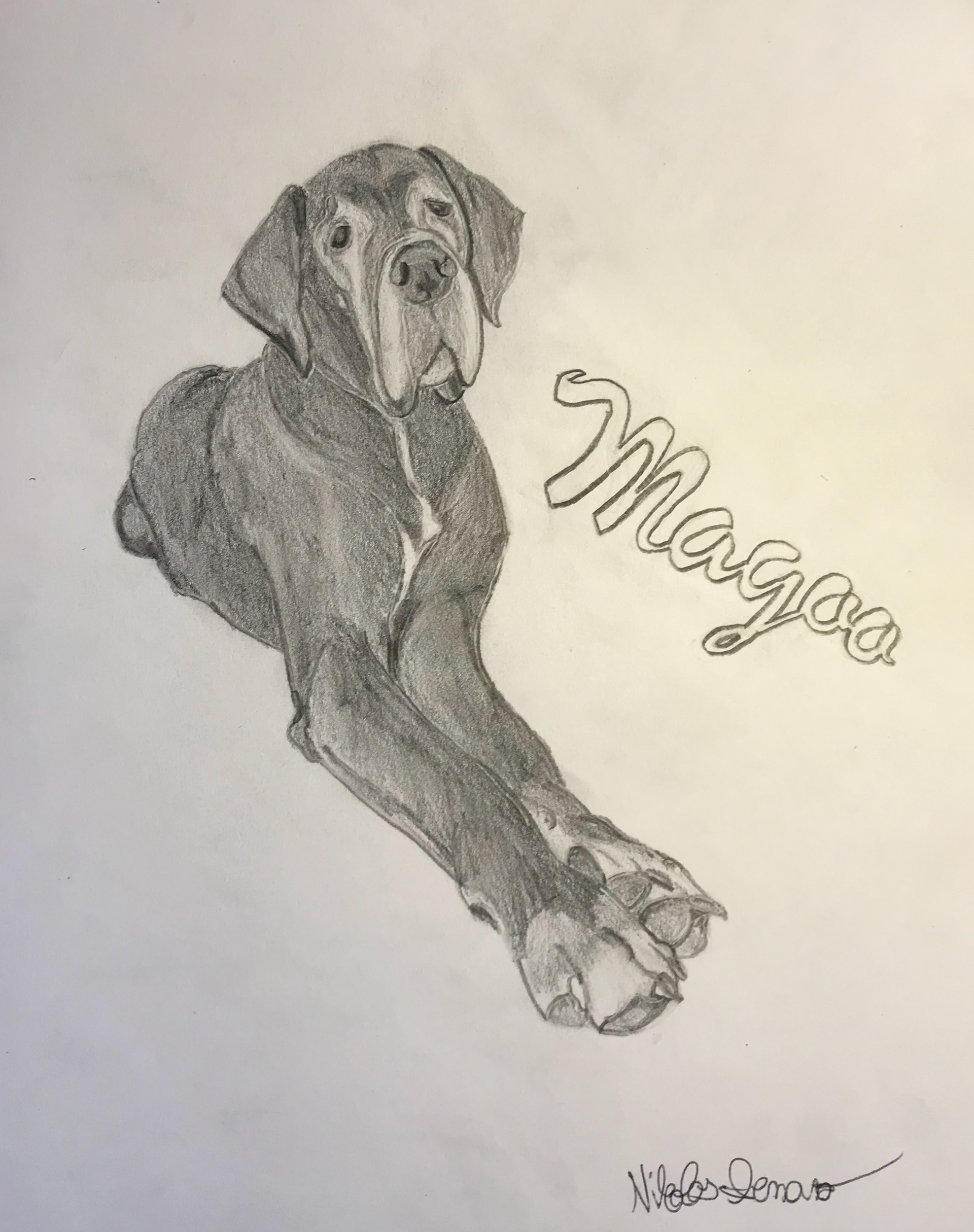 Commissioned Pet Drawing