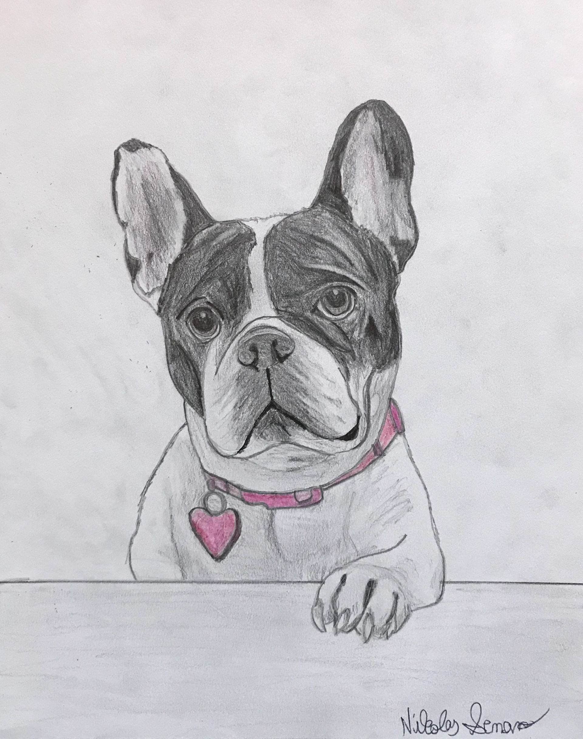 Commissioned Pet Drawing