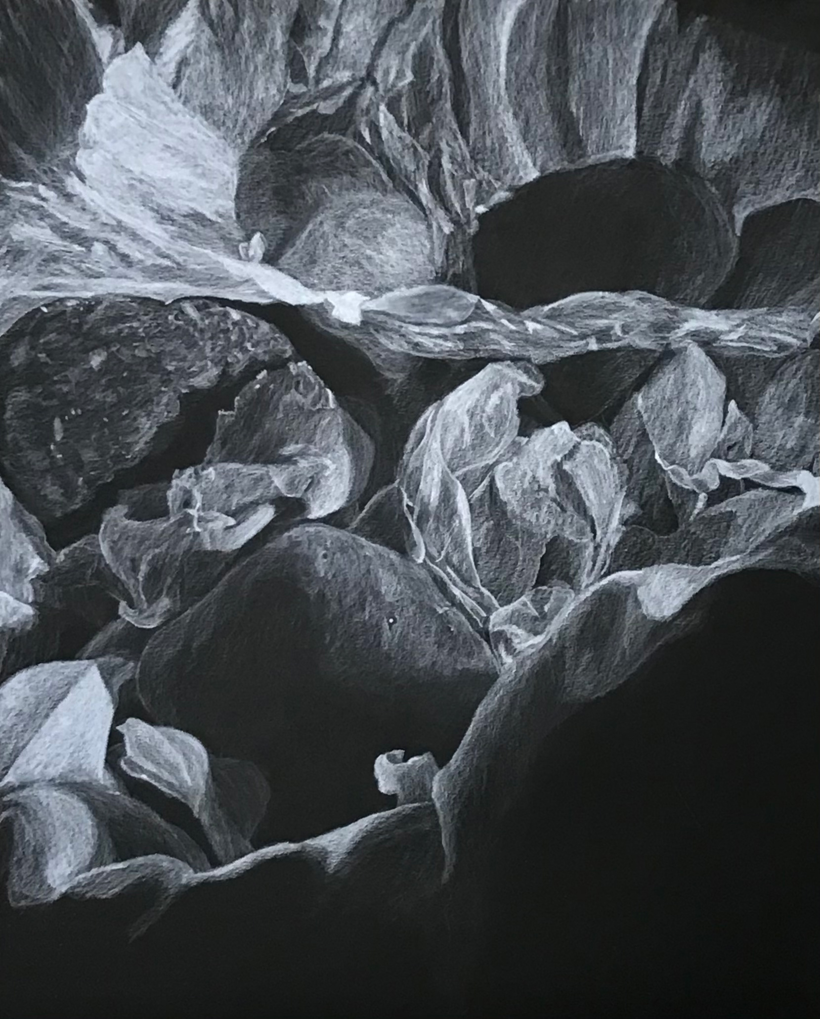 Subtractive Still Life Drawing