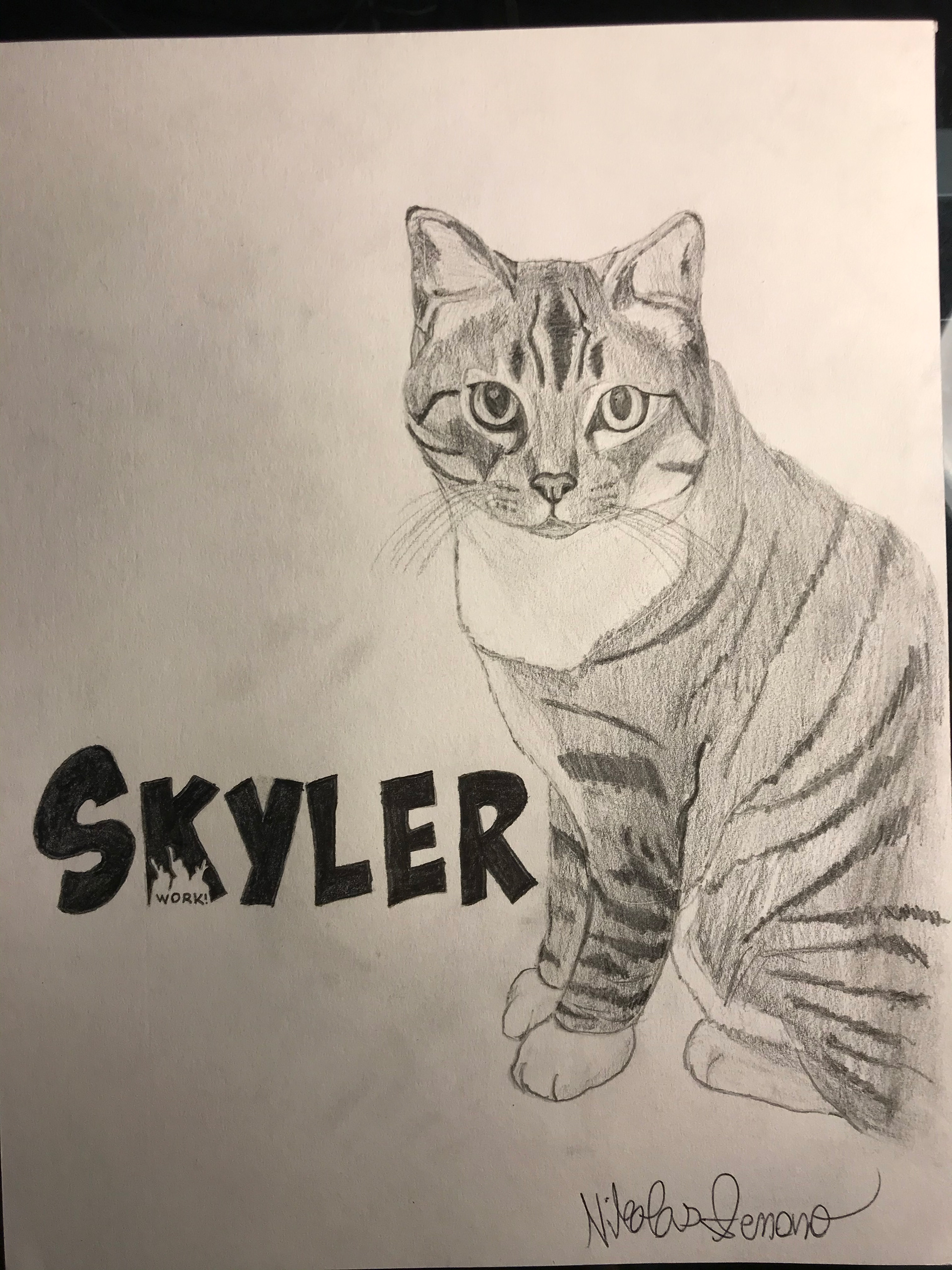 Commissioned Pet Drawing