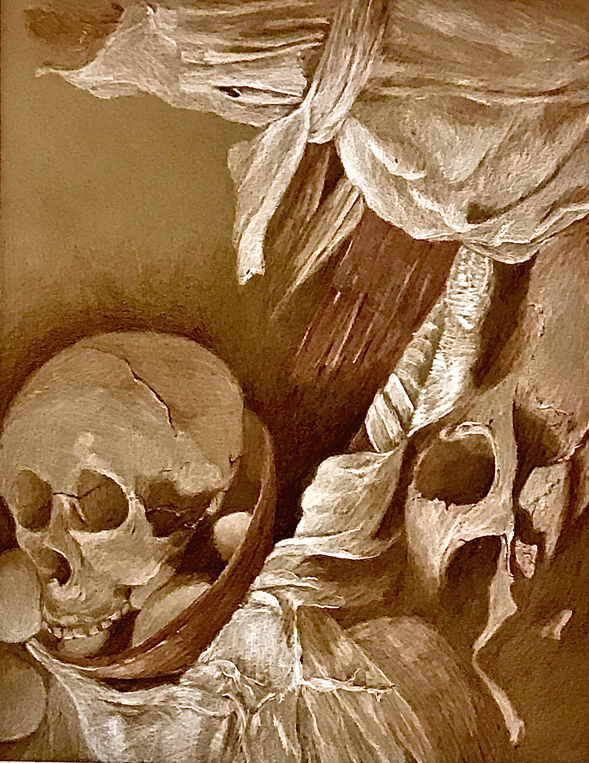 Tones Paper Still Life Drawing
