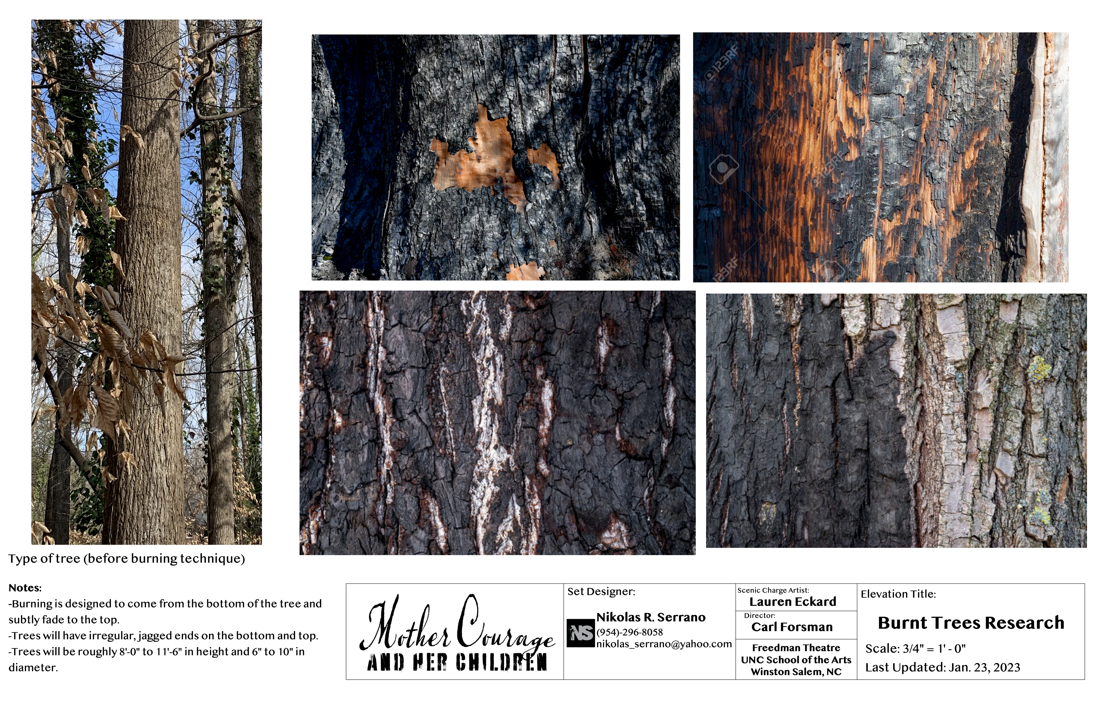 Burnt Tree Paint Treatment Elevation