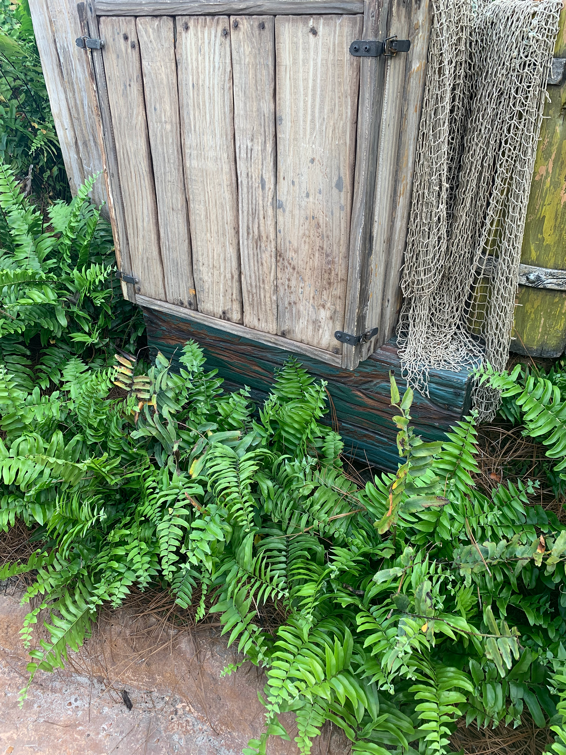 Crate in Isle of Berk in Epic Universe, Built by Nikolas Serrano
