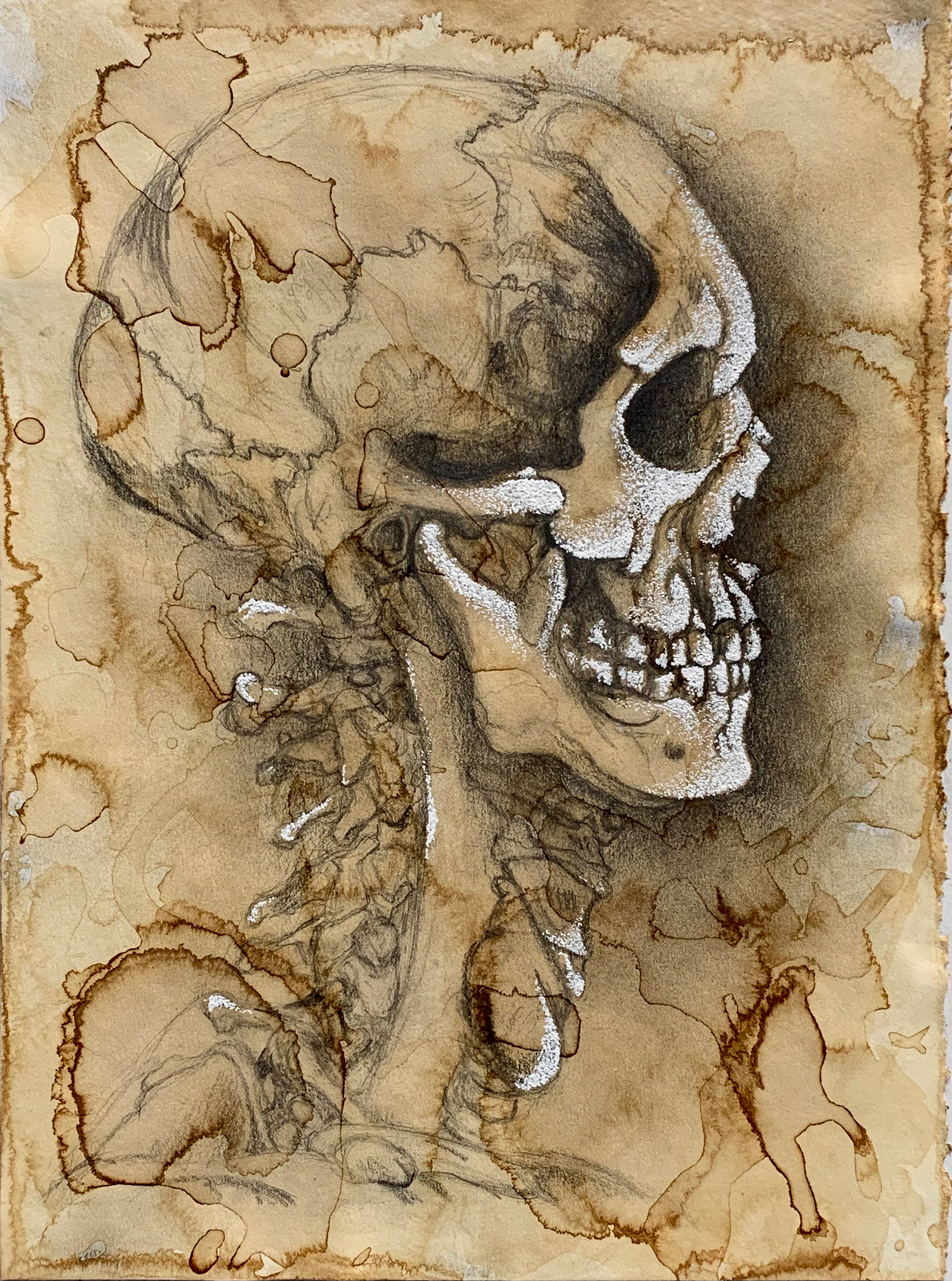 Skull Drawing with Coffee Pours