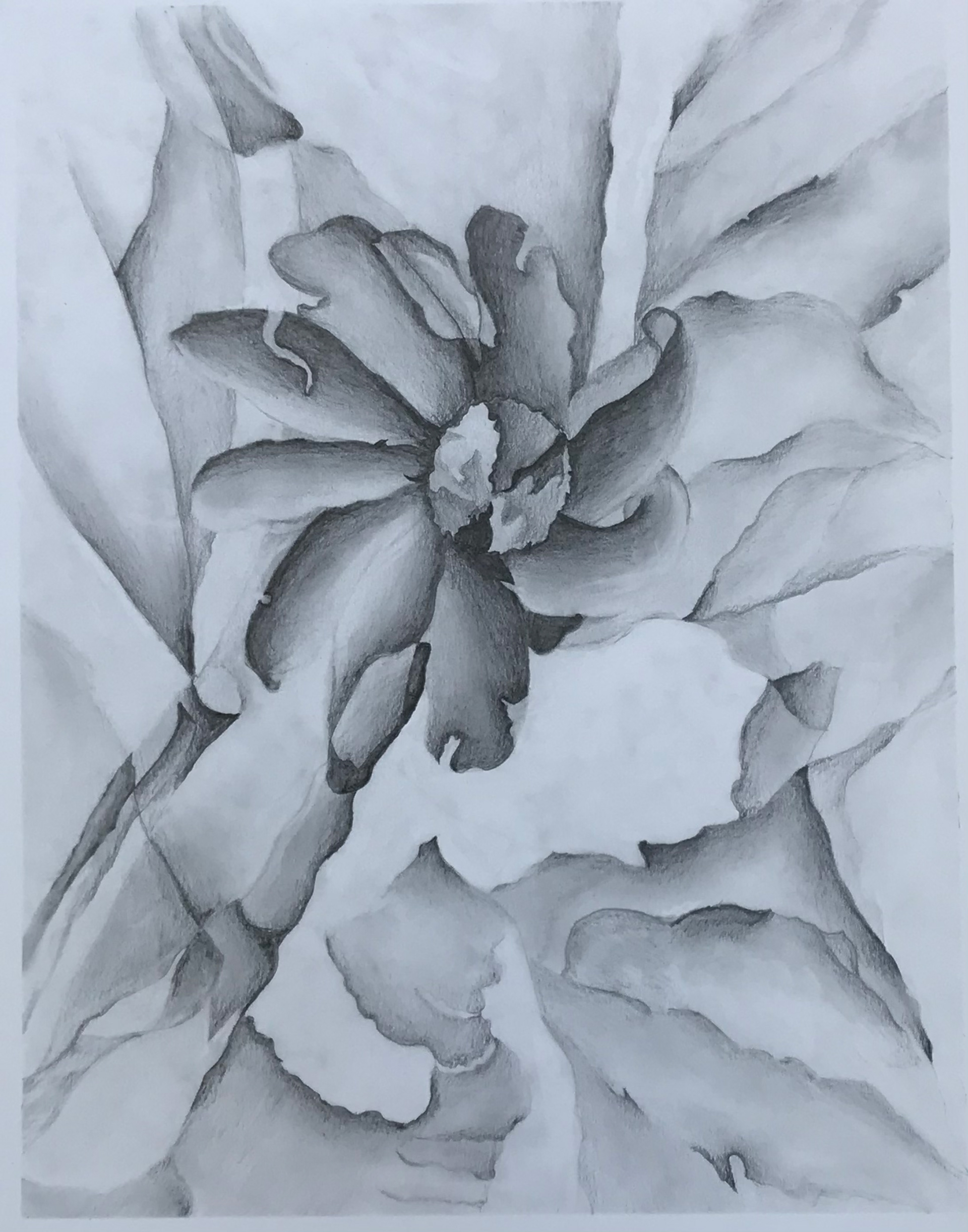 Abstract Drawing