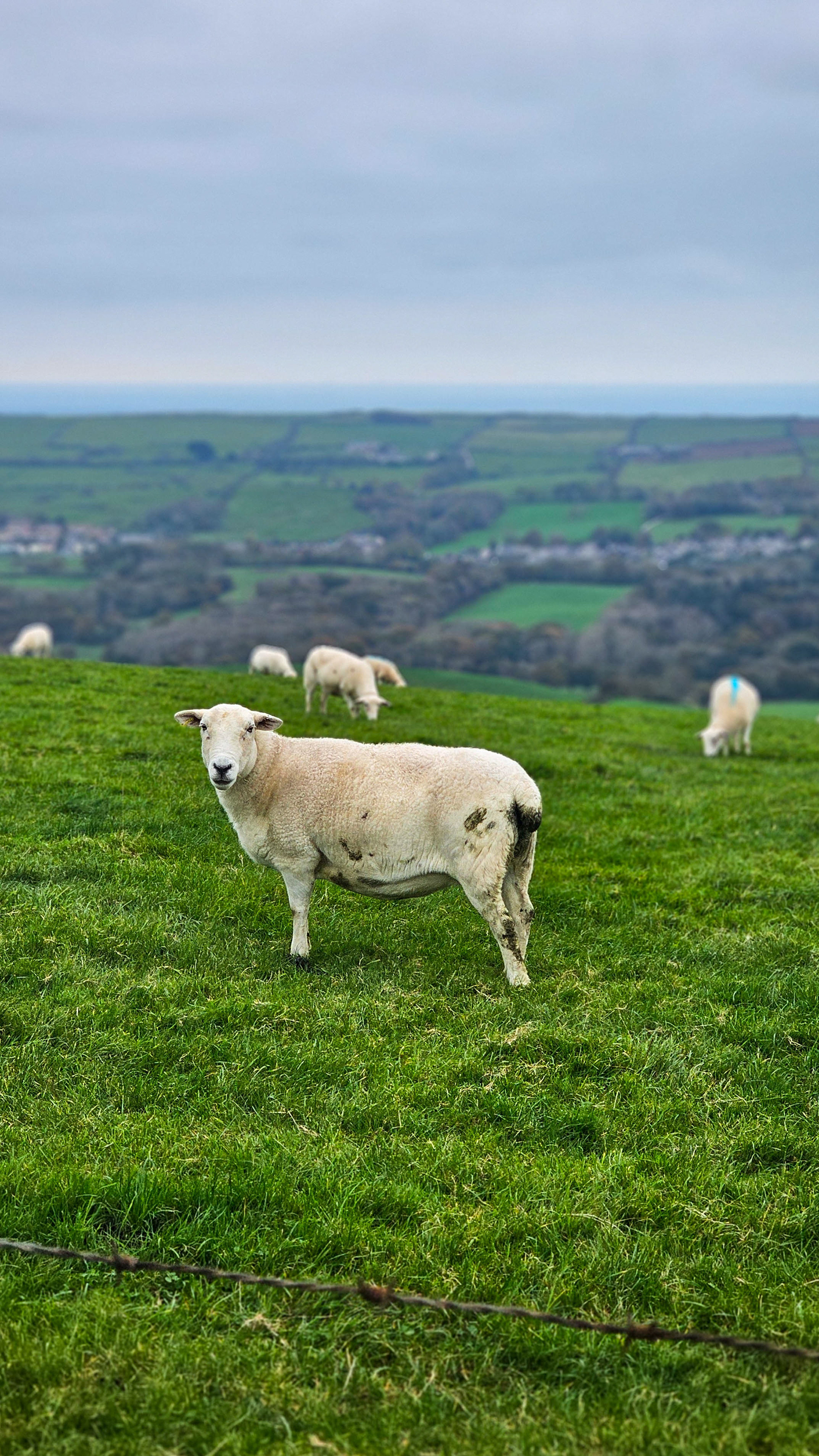 Swanage, England