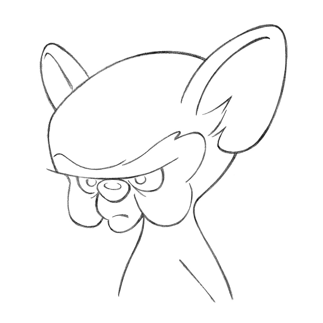 Brain • pencil sketch