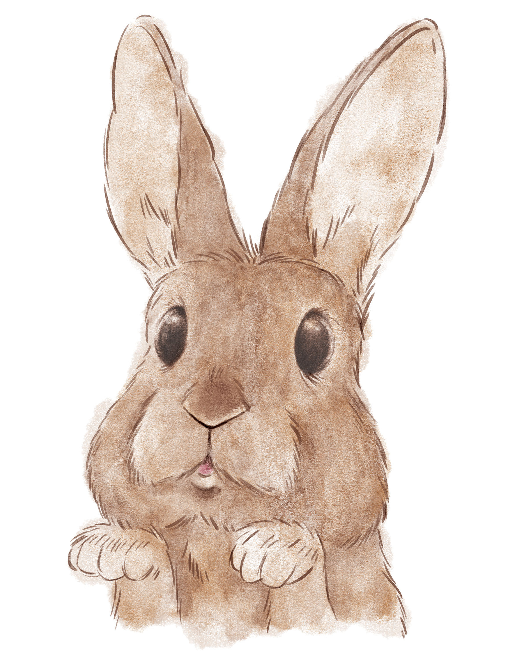 Bunny 1 • digital watercolor