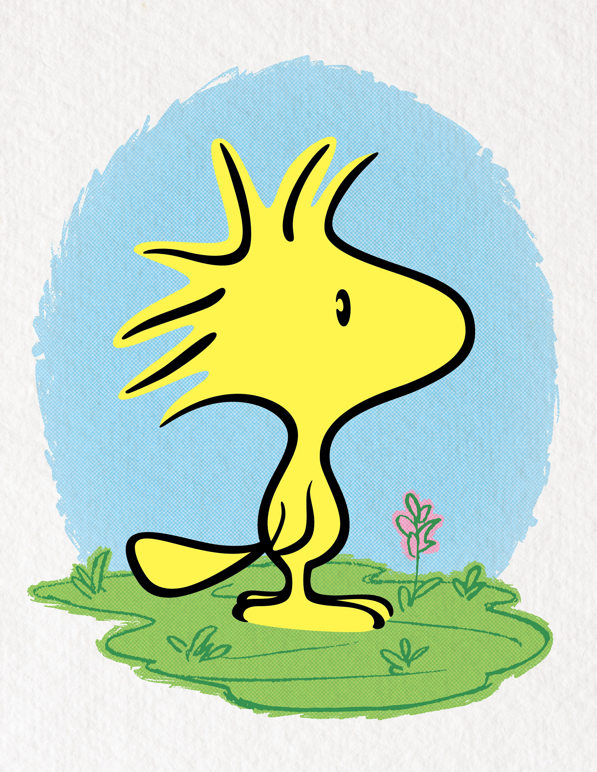 Woodstock • vector illustration