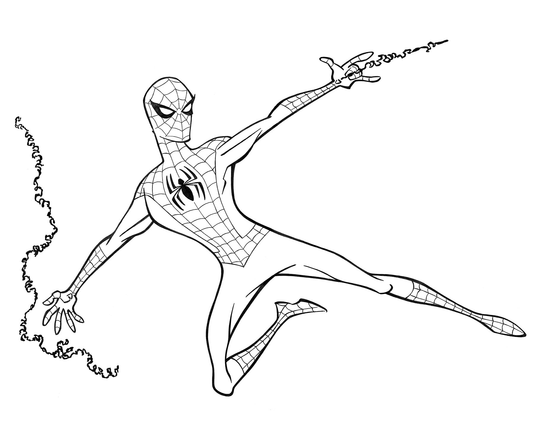Spider-Man • pencil sketch