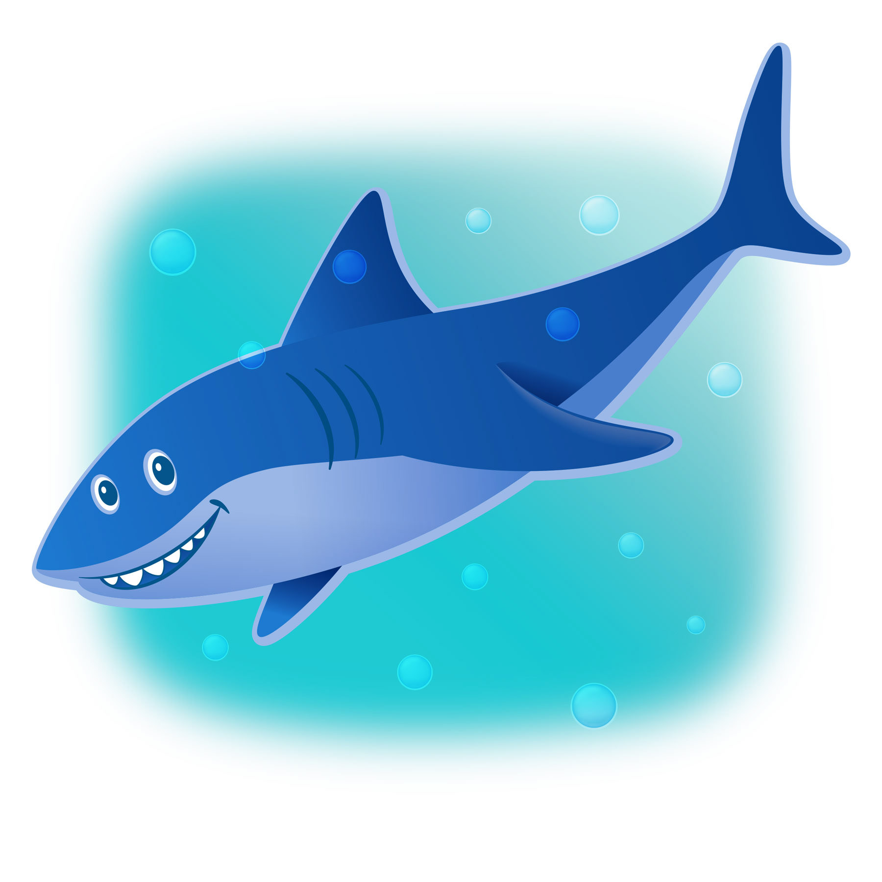 Shark • vector illustration