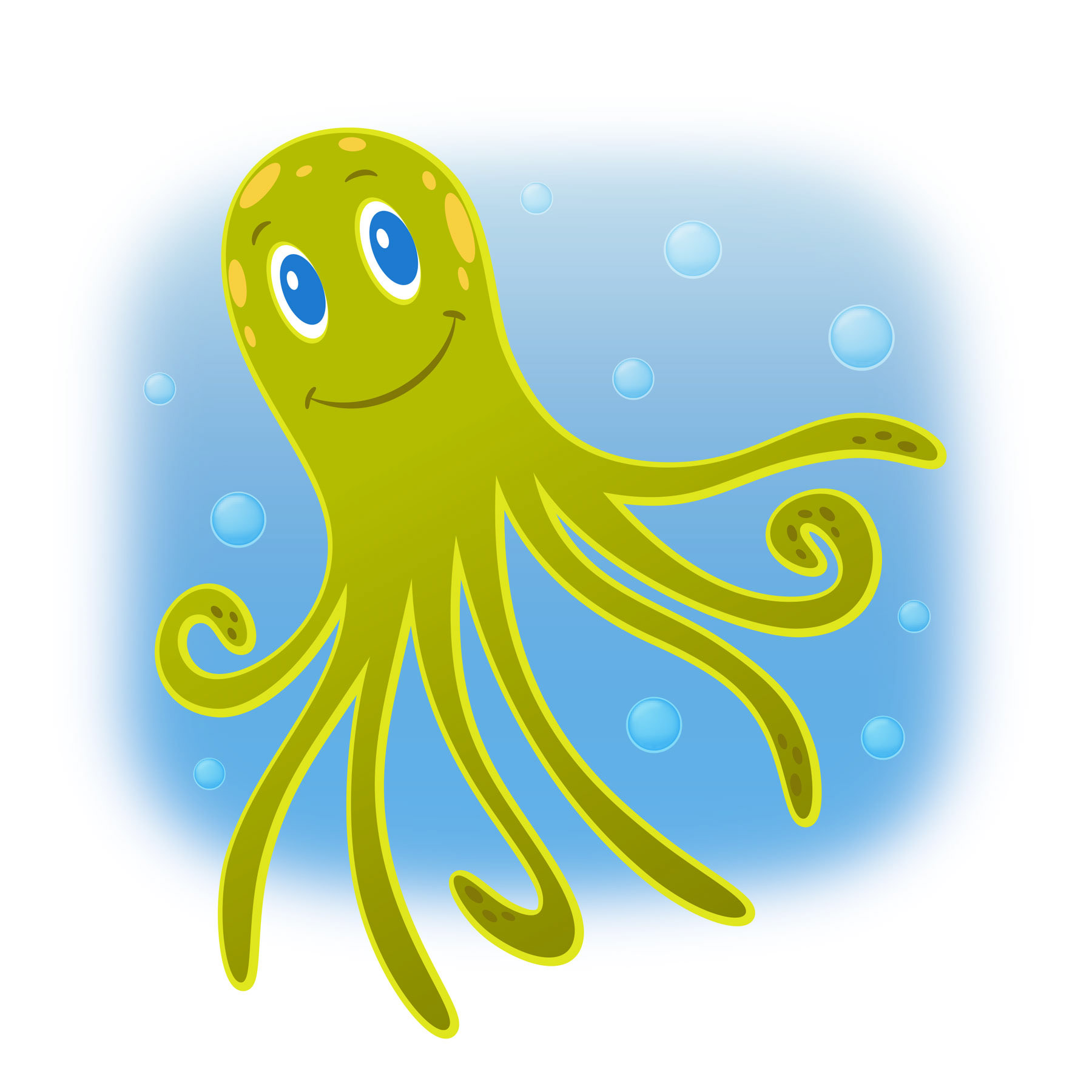 Octopus • vector illustration