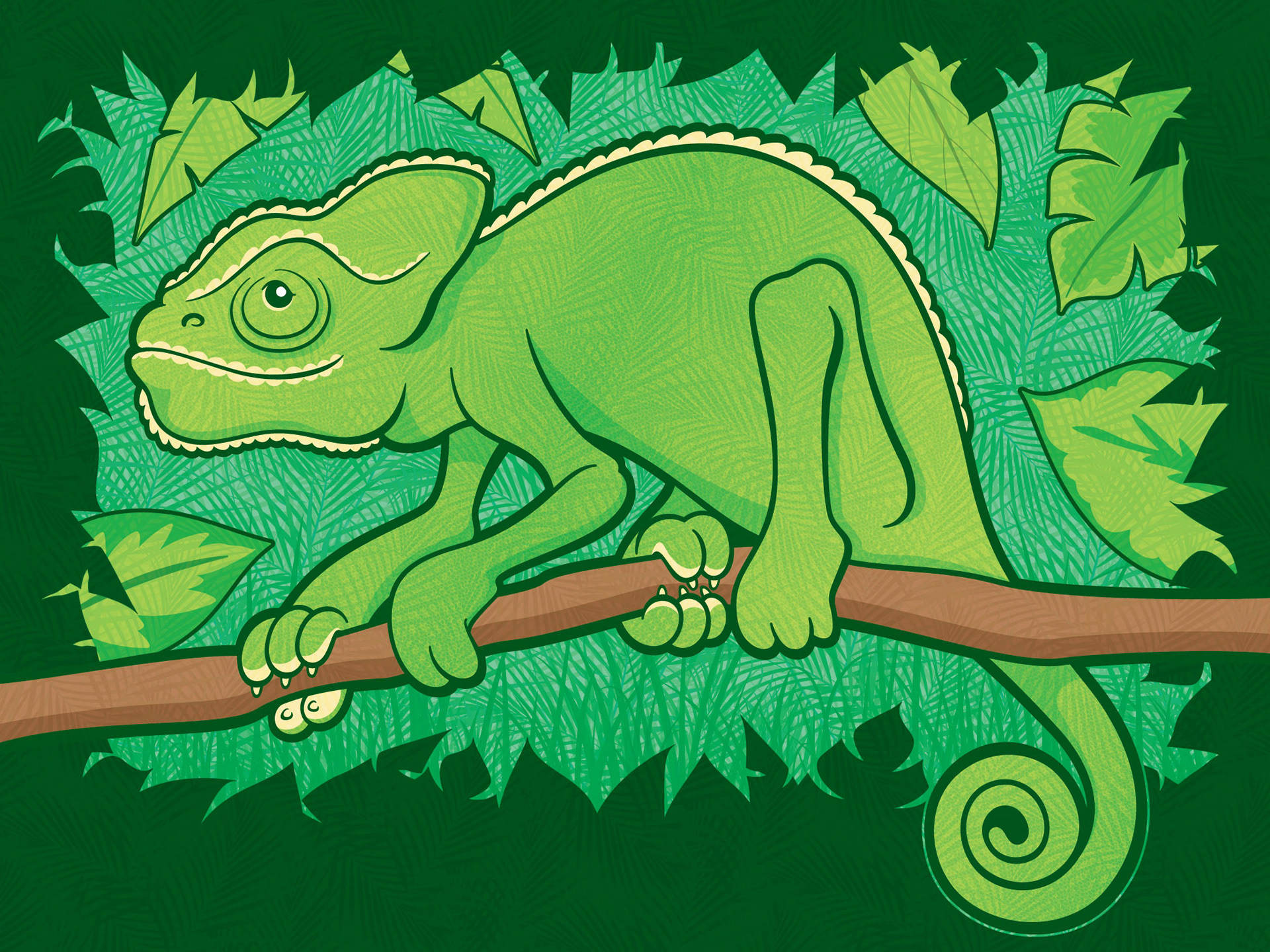 Chameleon • vector illustration