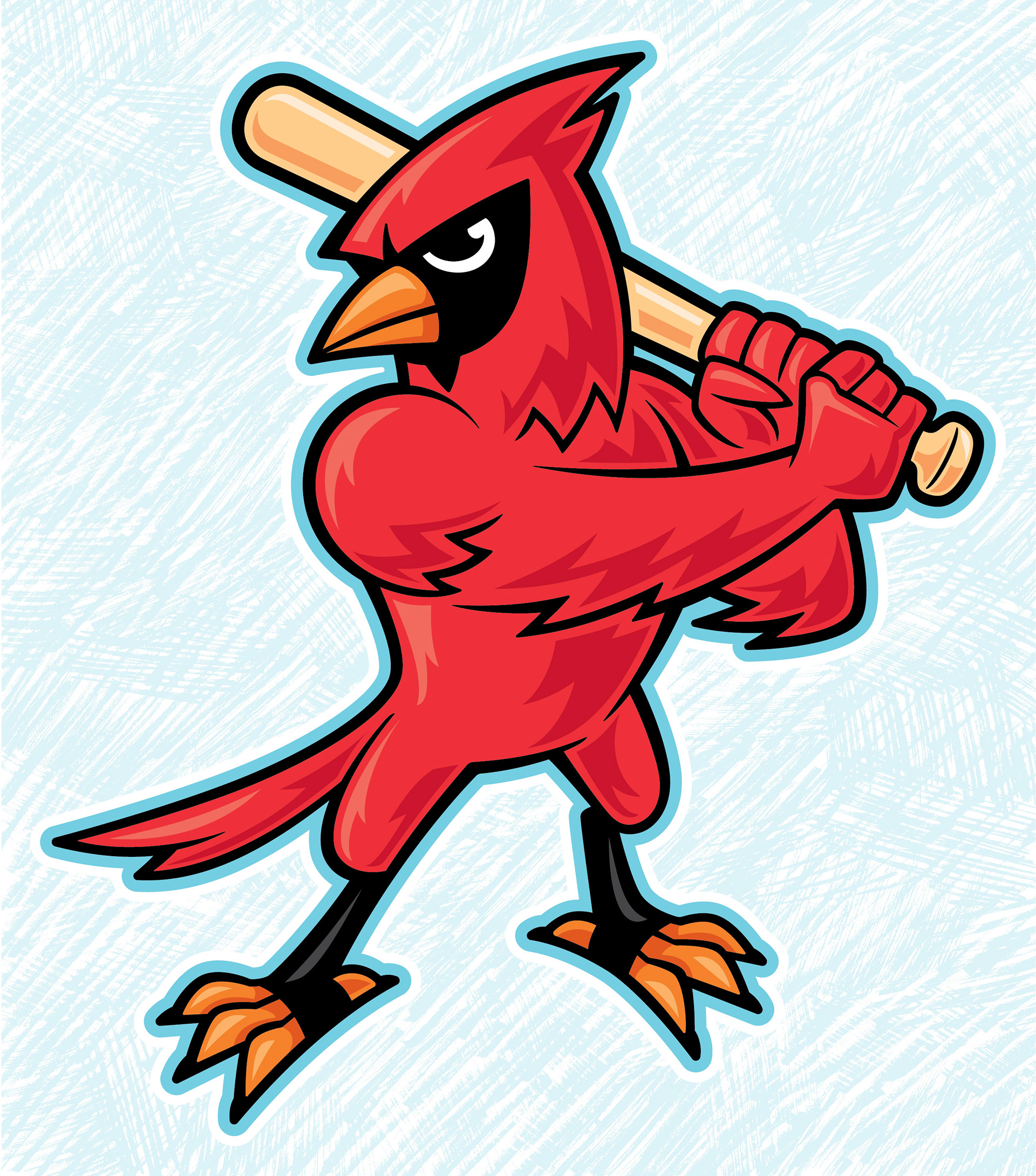 Baseball Cardinal • vector illustration
