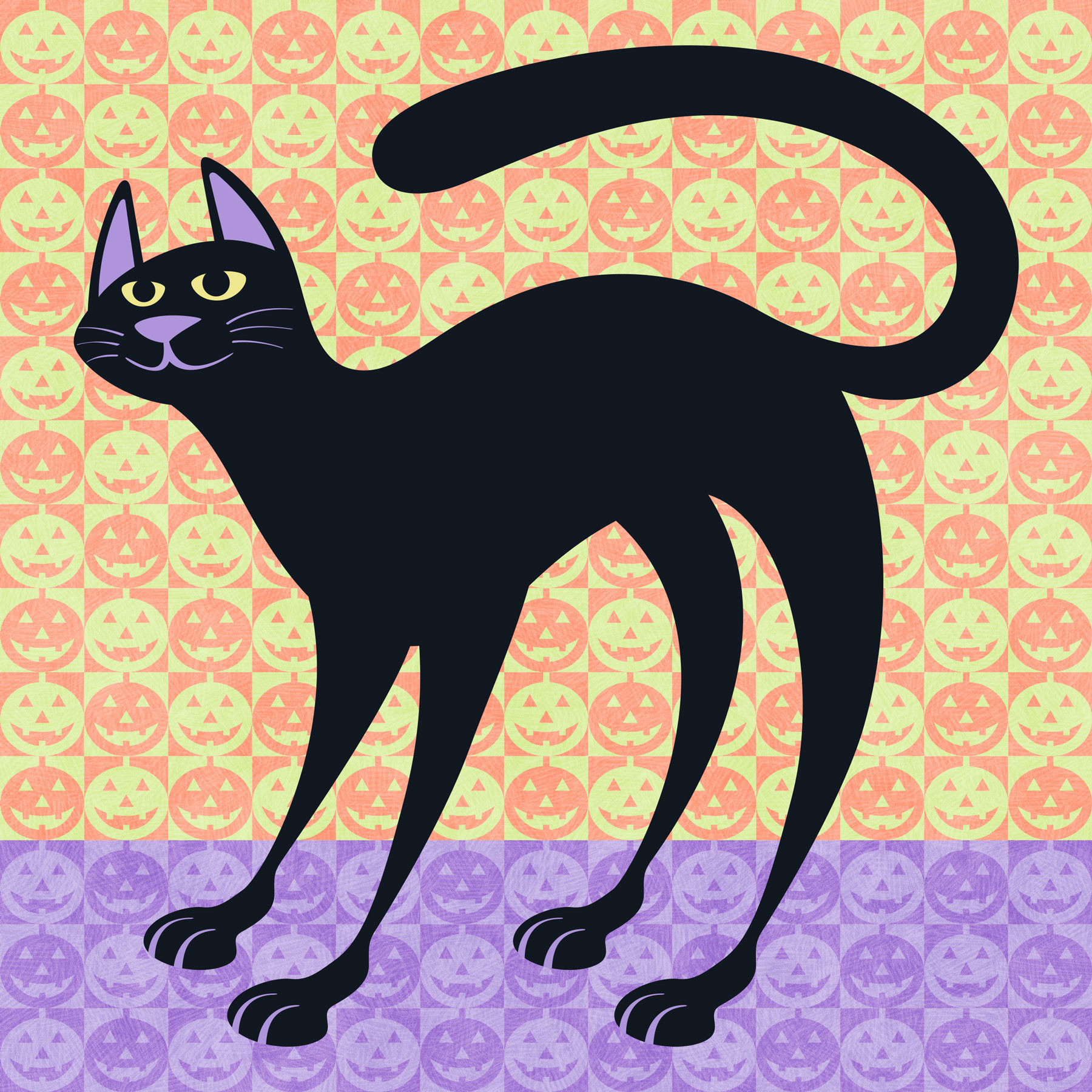 Black Cat • vector illustration