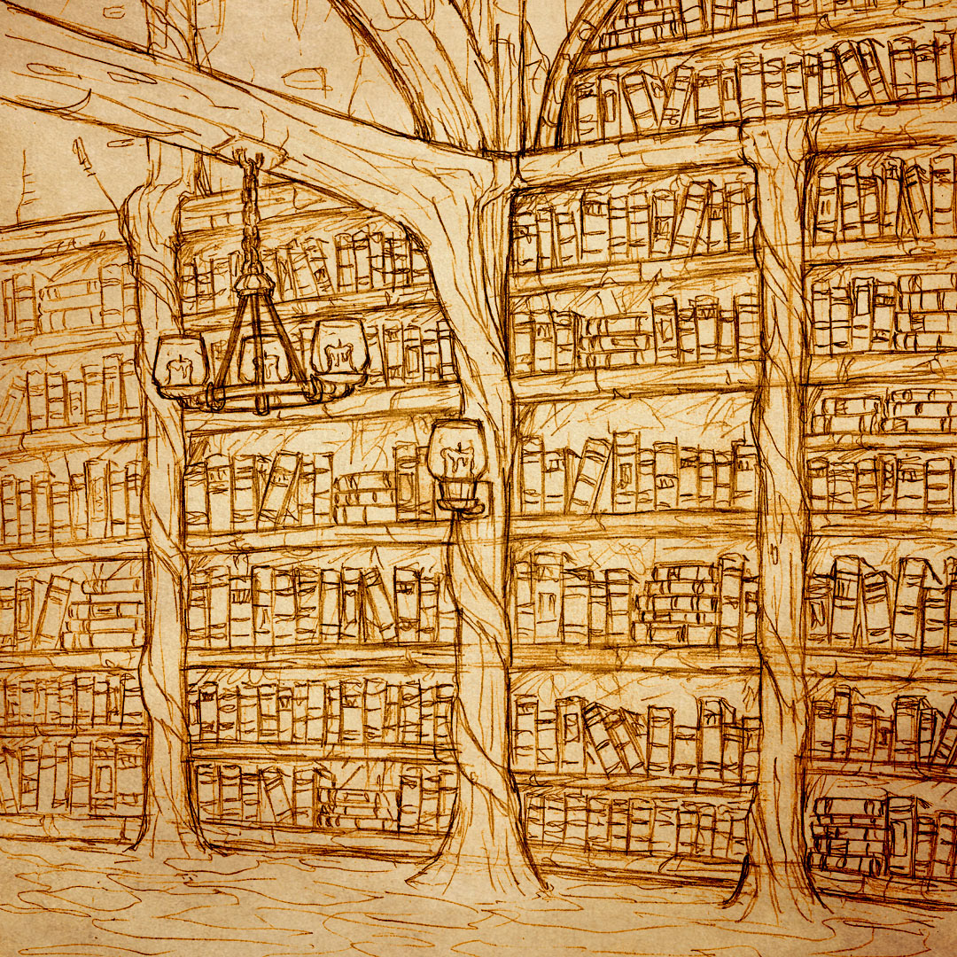 Dragon Returns: library • pencil illustration