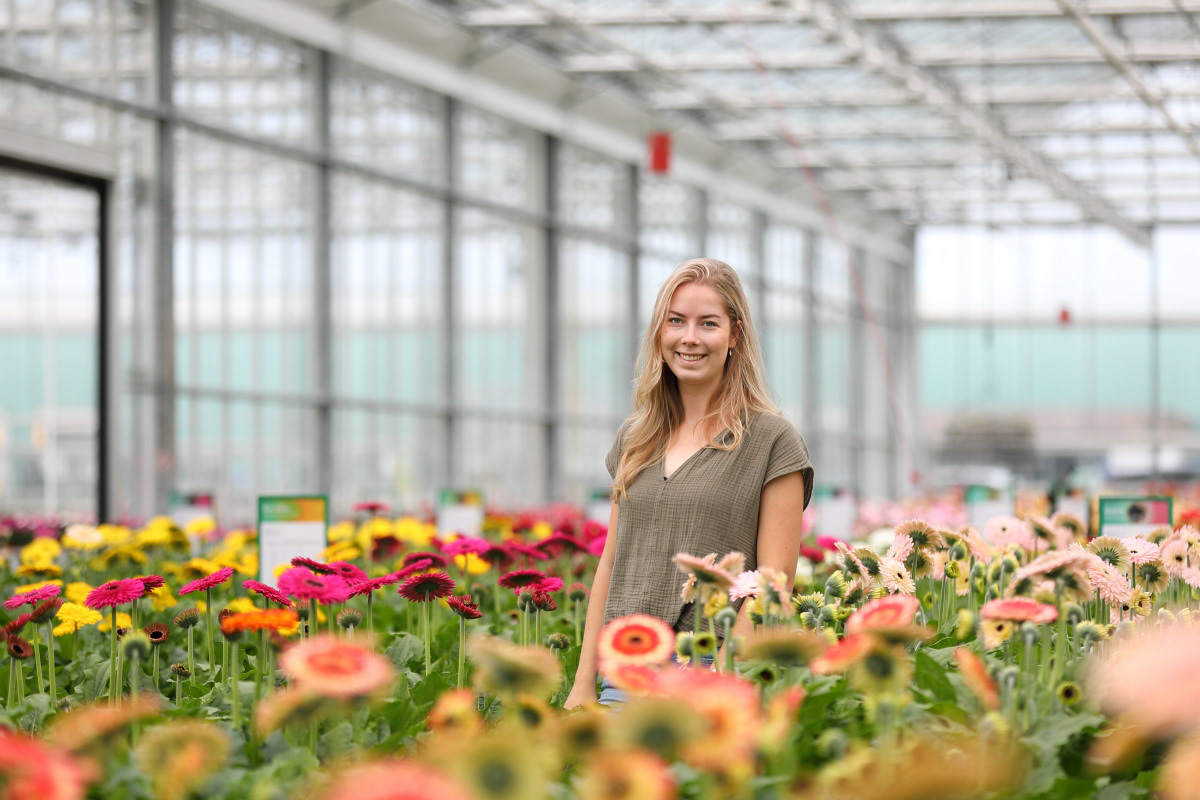 Cheryl Zethof, HilverdaFlorist