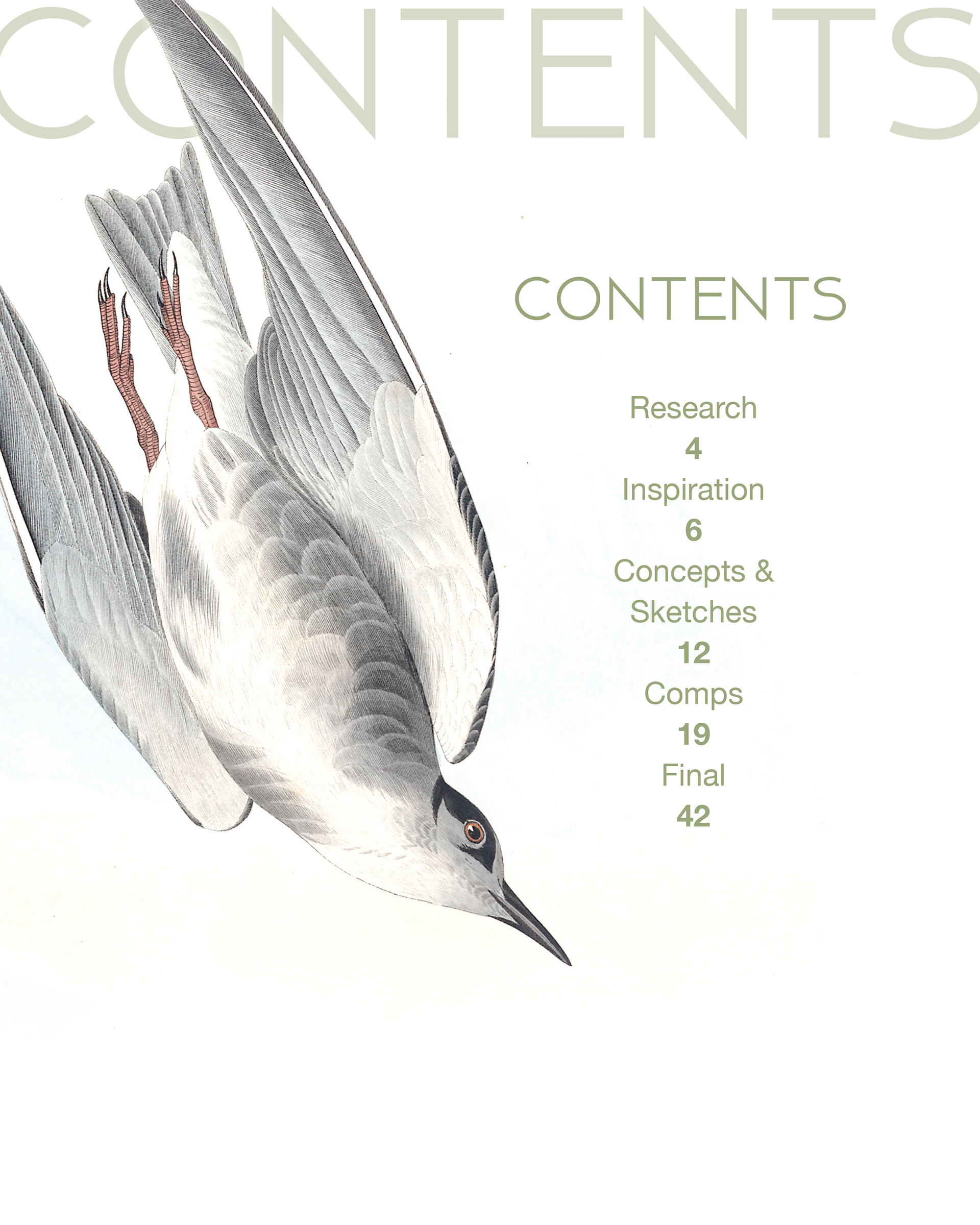 Faux magazine content  page designed for a graphic design course assignment (2018), Bellevue University, NE