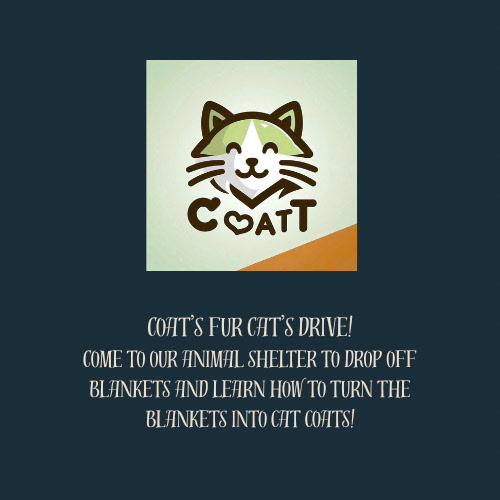 AI generated Cat logo & textbooks - 1
